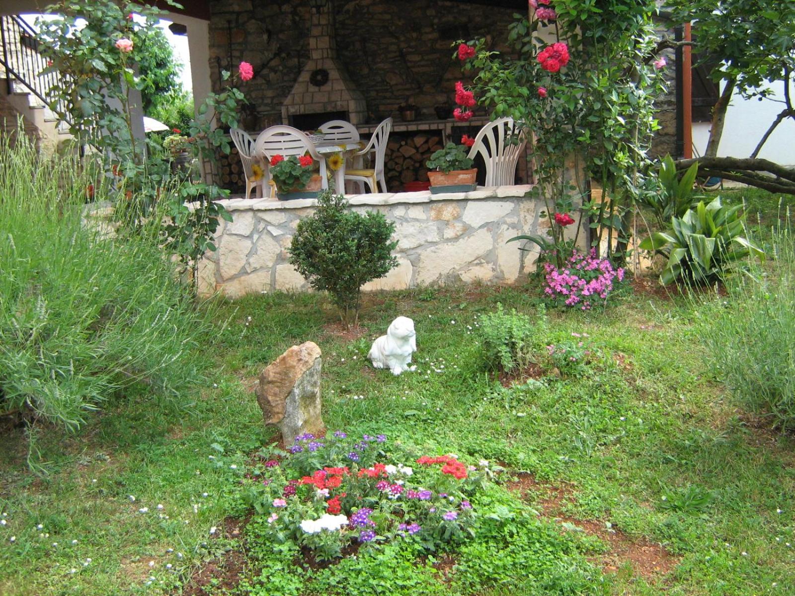 Photo 6