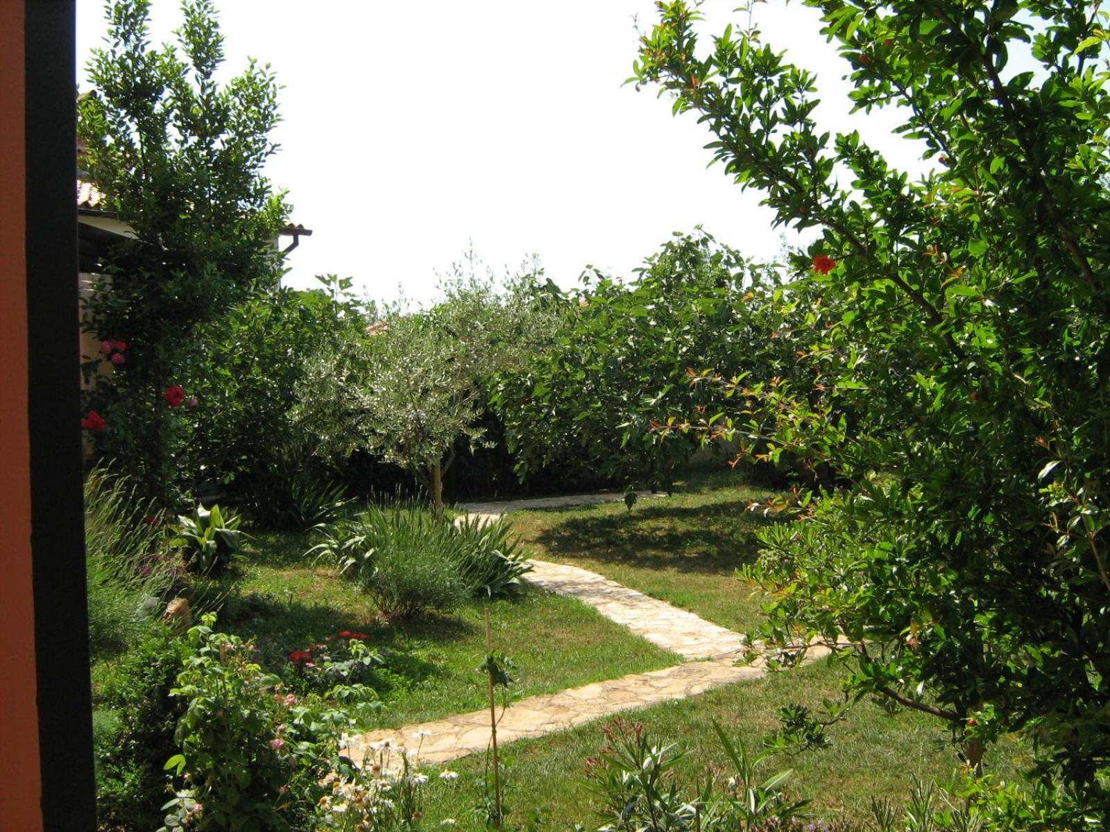 Photo 10
