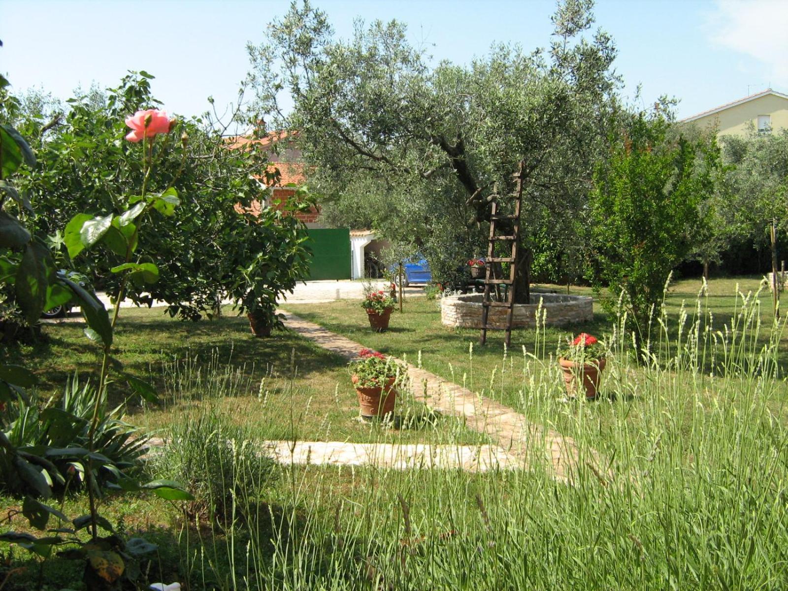 Photo 11