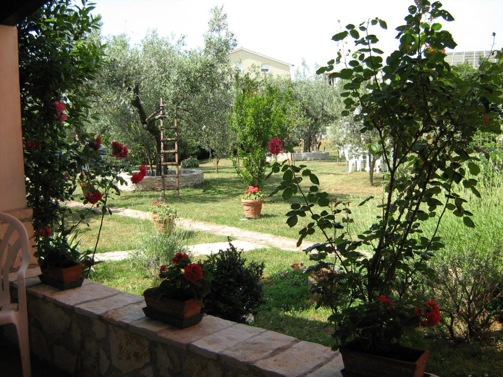 Photo 12