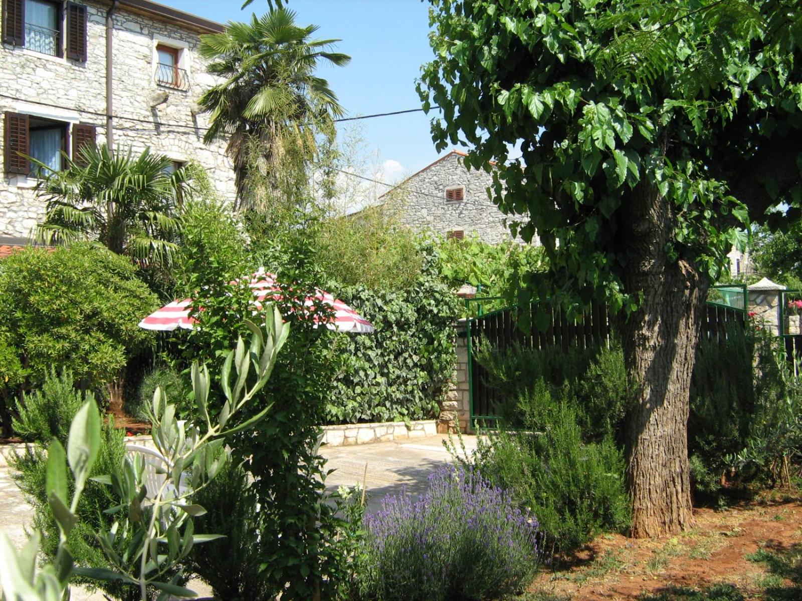 Photo 44