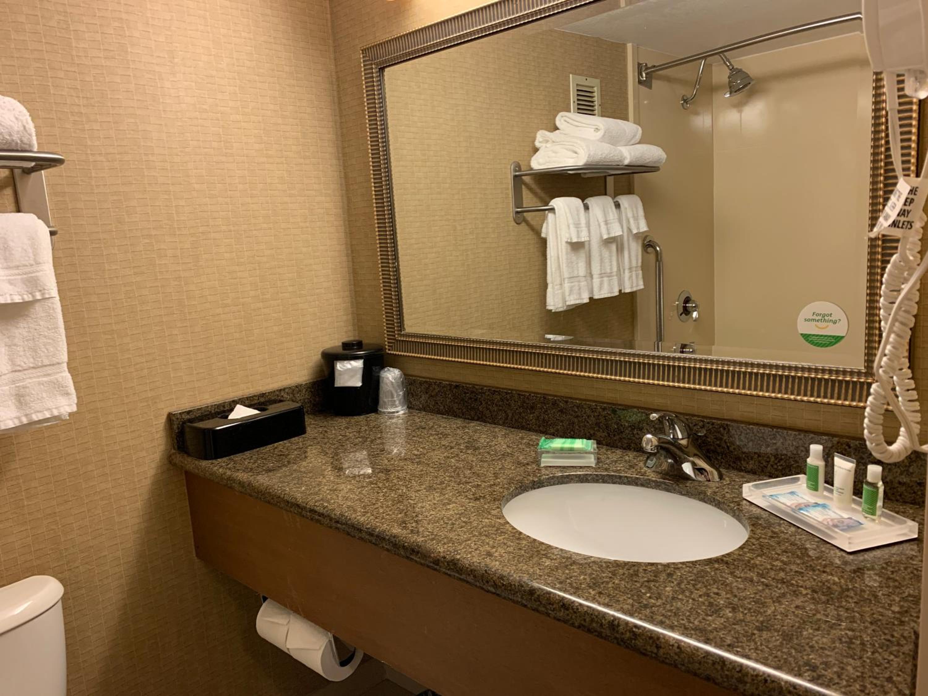 Somerset Vacations - Holiday Inn Johnstown-Downtown, an IHG Hotel - Property Image 2