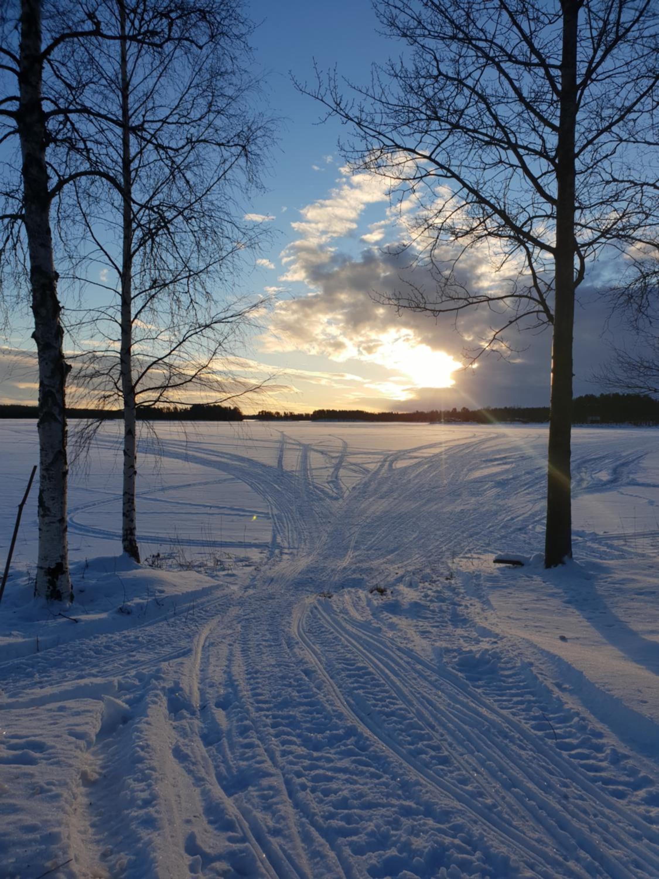 Lövnäs - Eget Hus utan andra gäster view 5