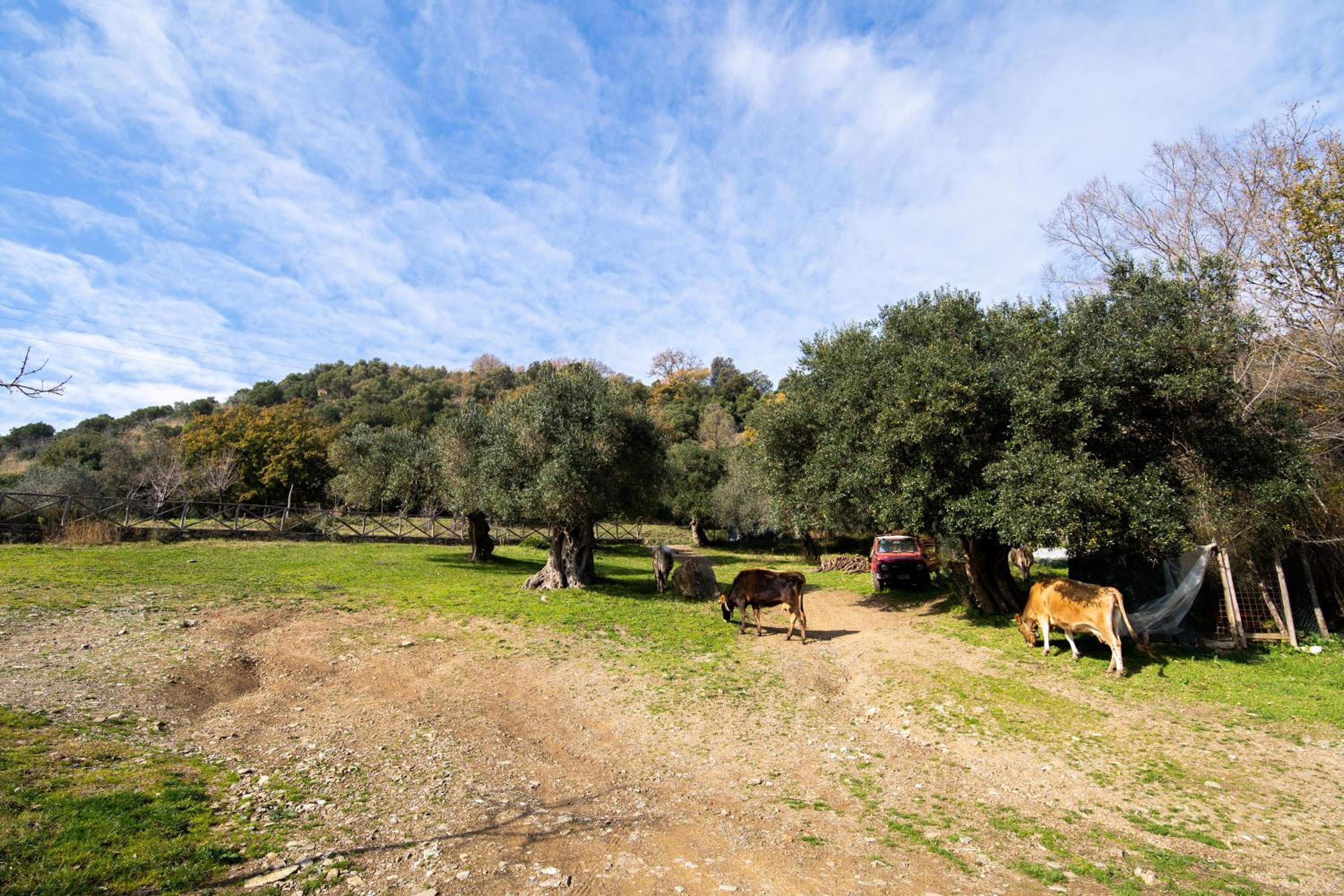 Agriturismo San Basilio