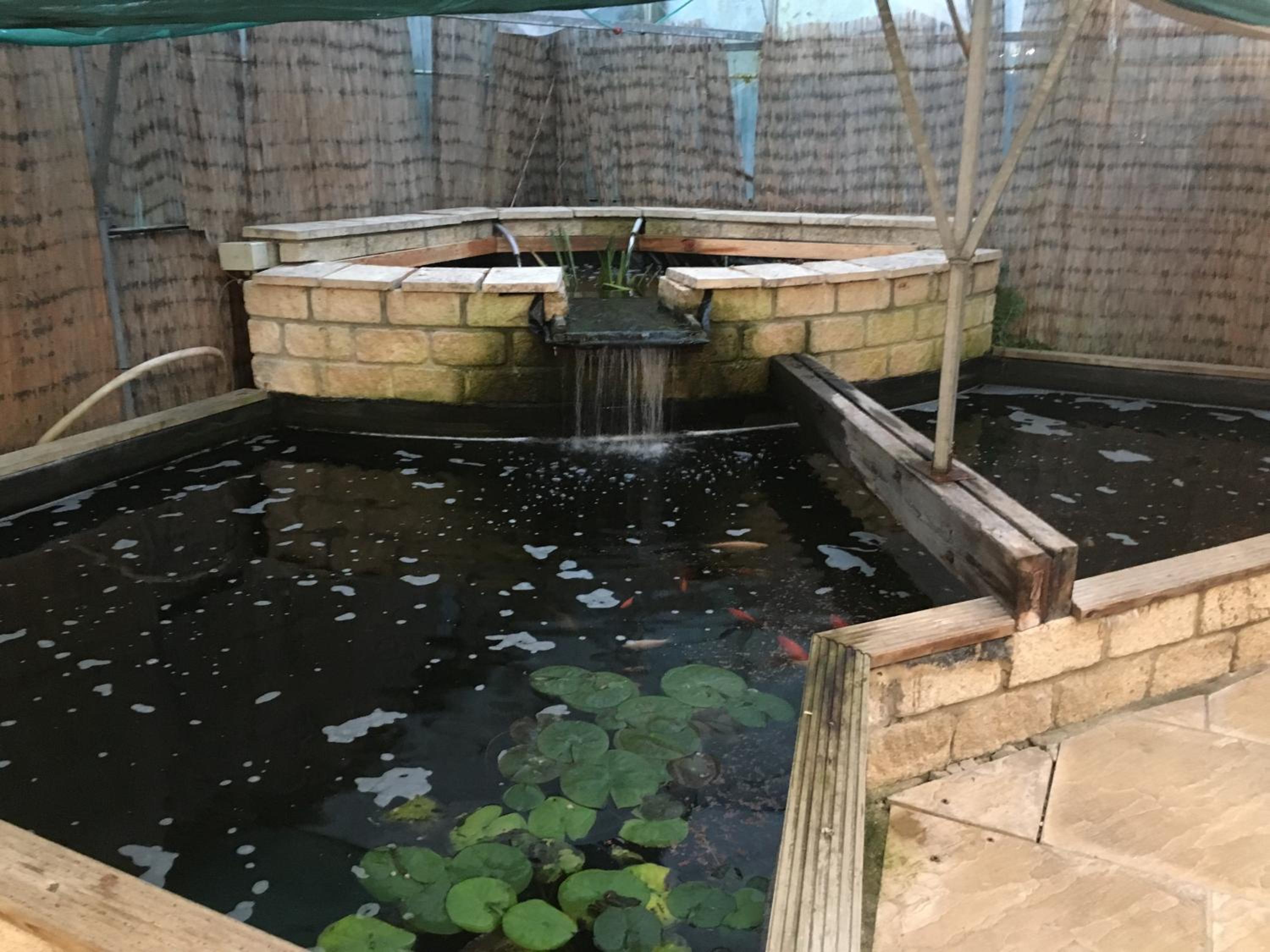 Photo 16
