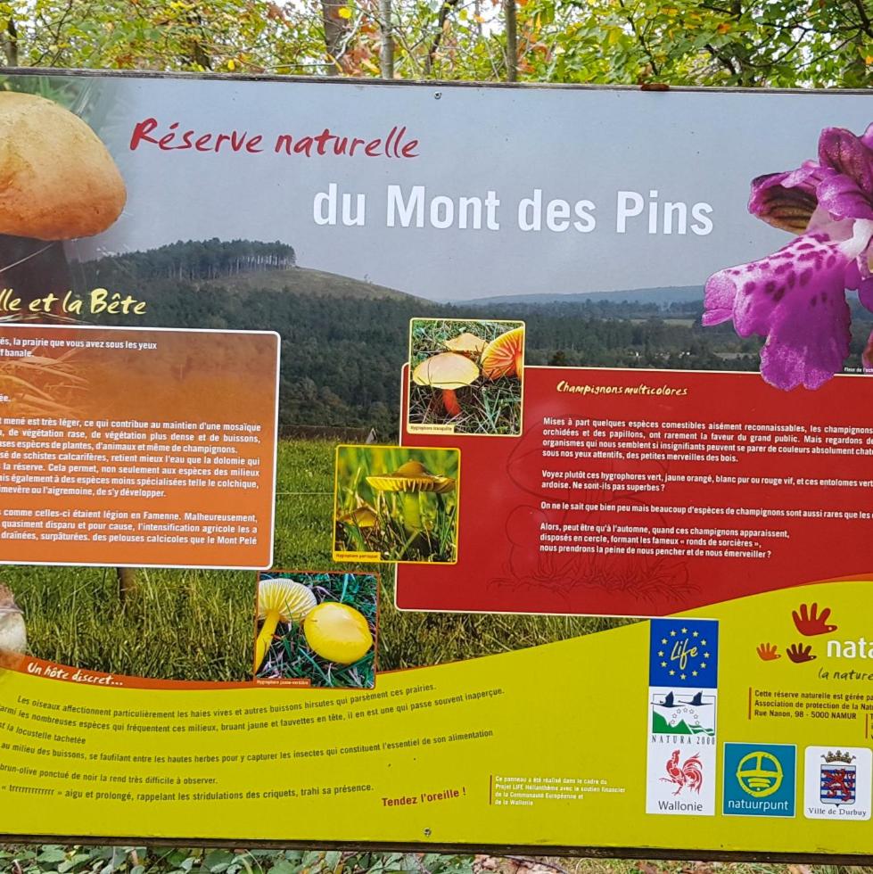 Gite ancienne Imprimerie
