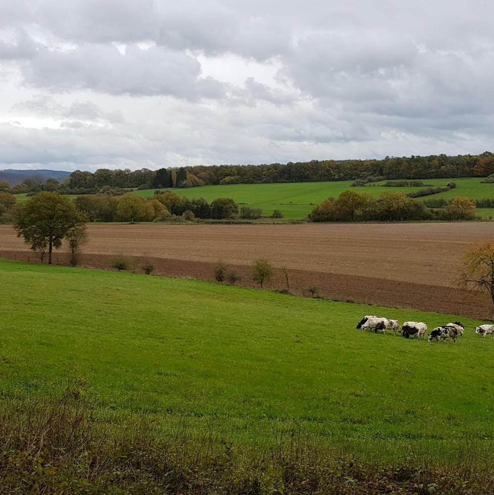 Gite ancienne Imprimerie