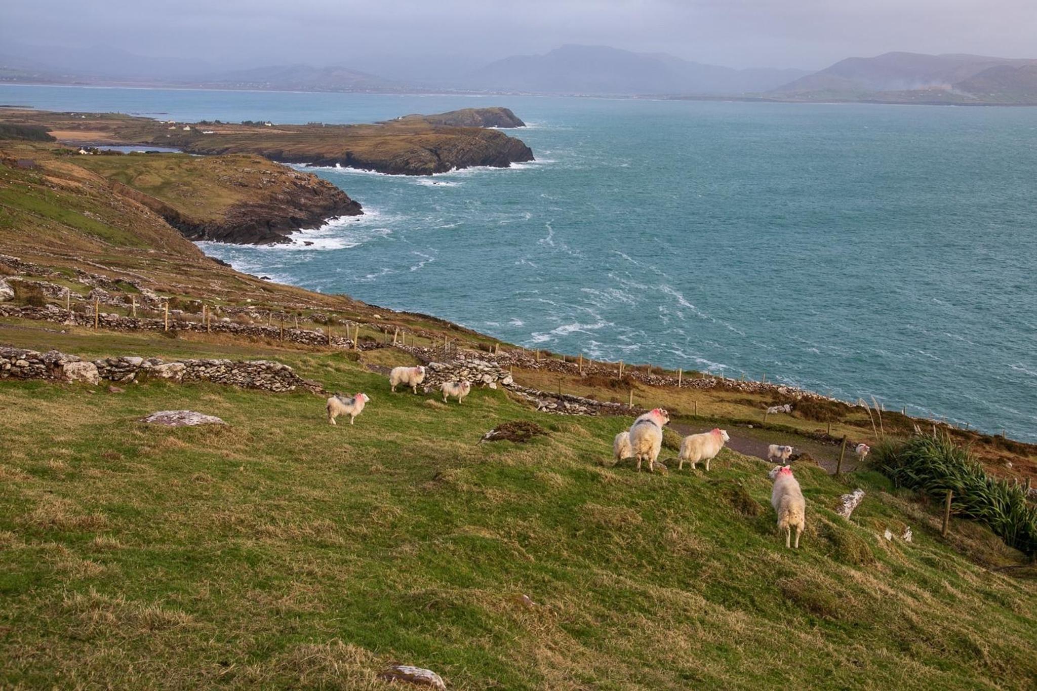Skellig Port Accommodation - 1 Studio Bed Apartment