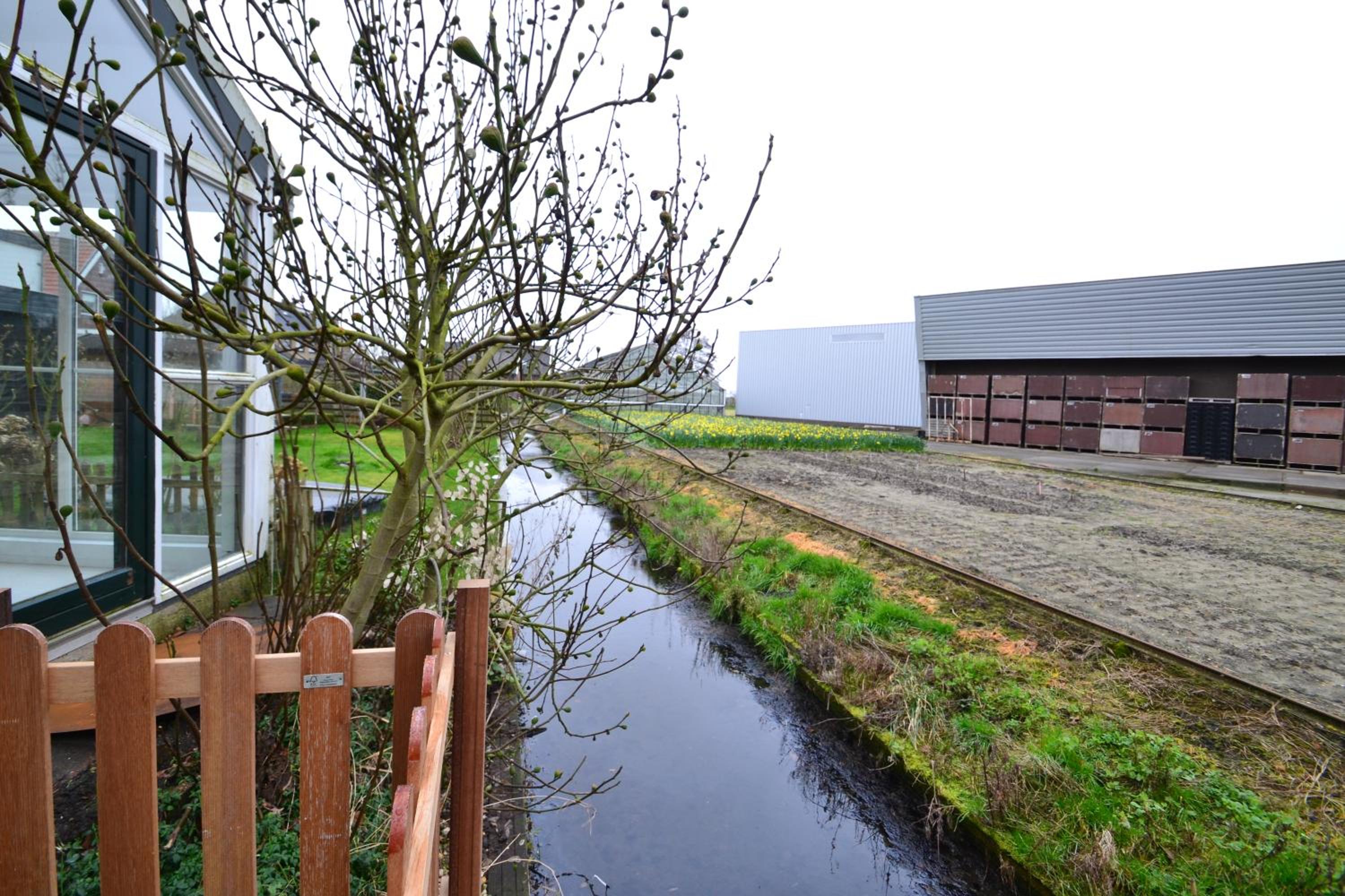 Vakantiewoning Loft Lisse - SAUNA - Beach - Keukenhof, photo 17