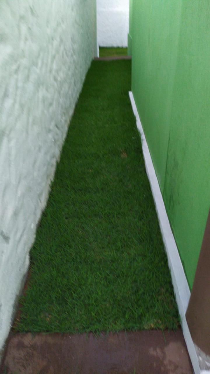 GREEN HOUSE