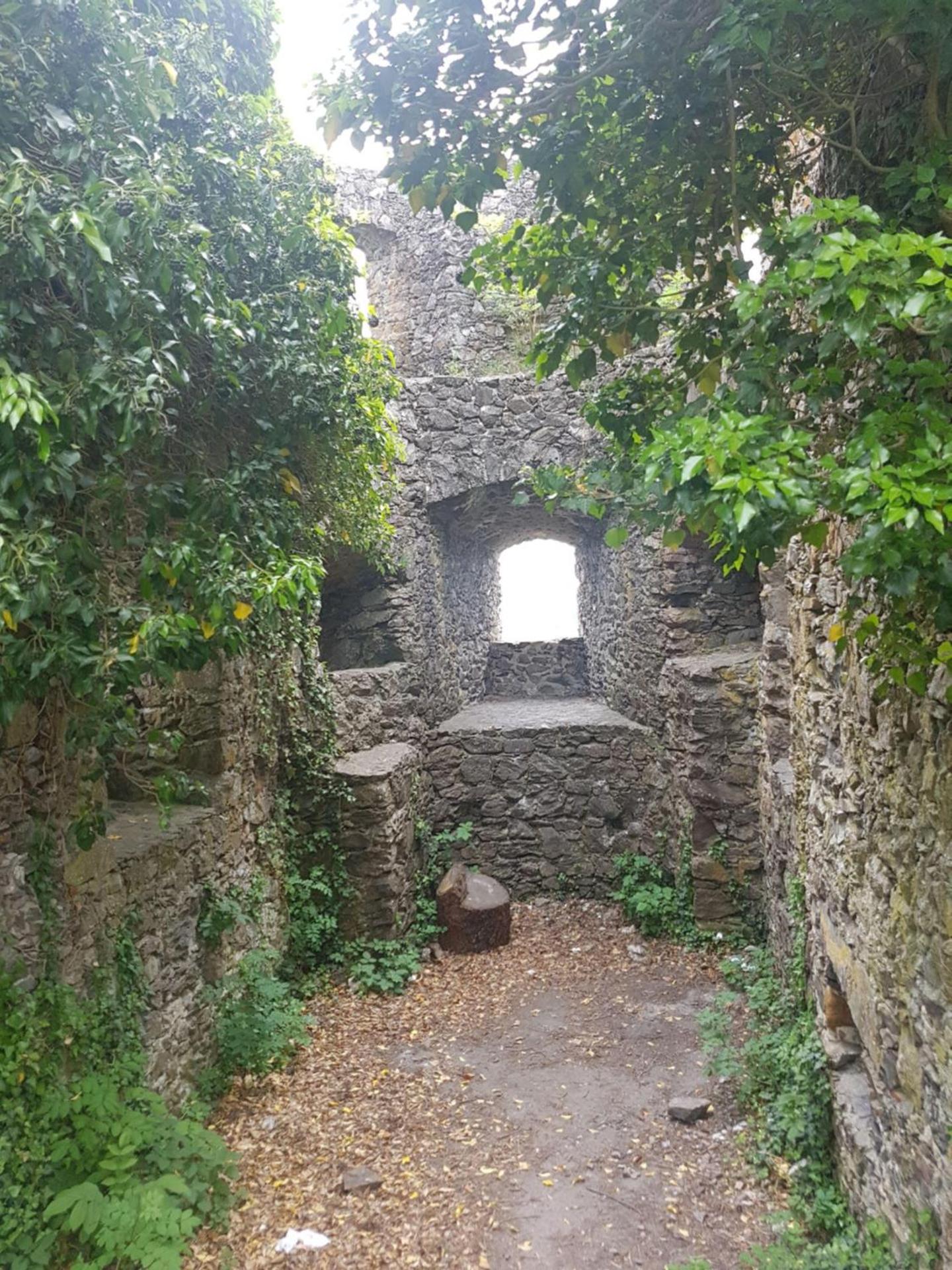 Ferienwohnung Hegau– Bodensee OG