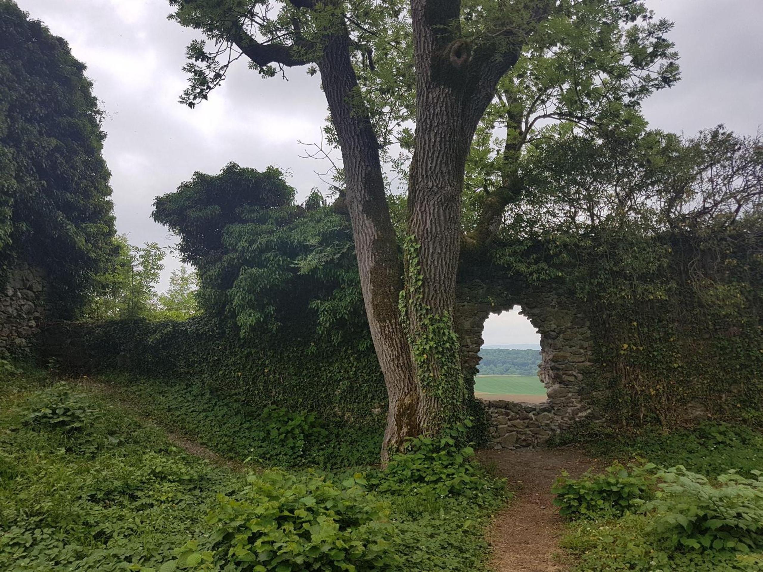 Ferienwohnung Hegau– Bodensee OG