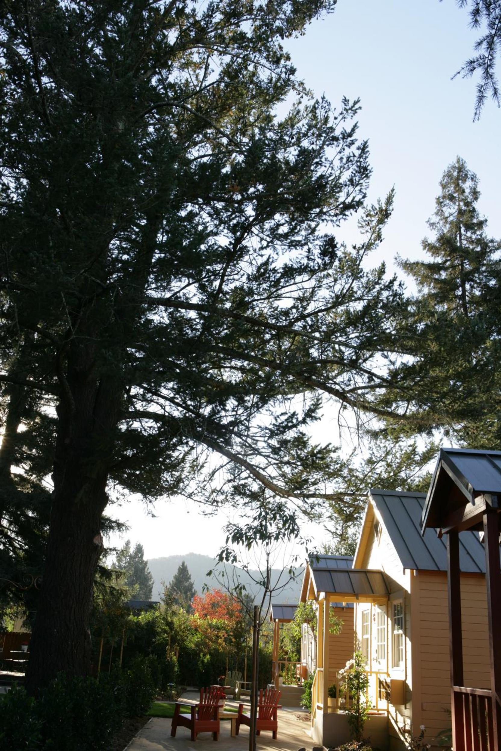Maui Vacations - The Cottages of Napa Valley - Property Image 15