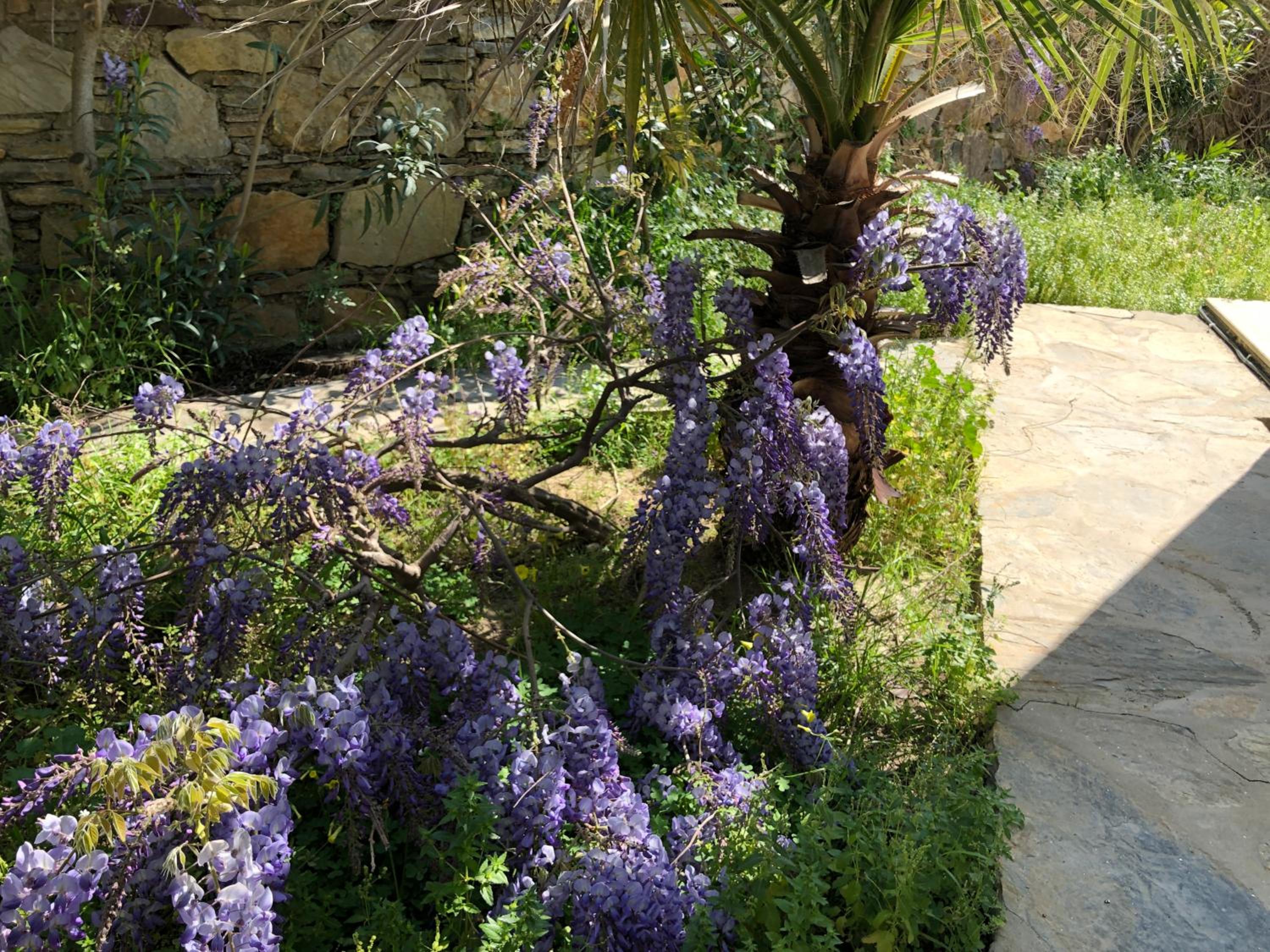 Photo 44