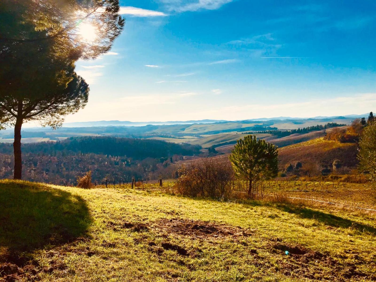 Photo 88