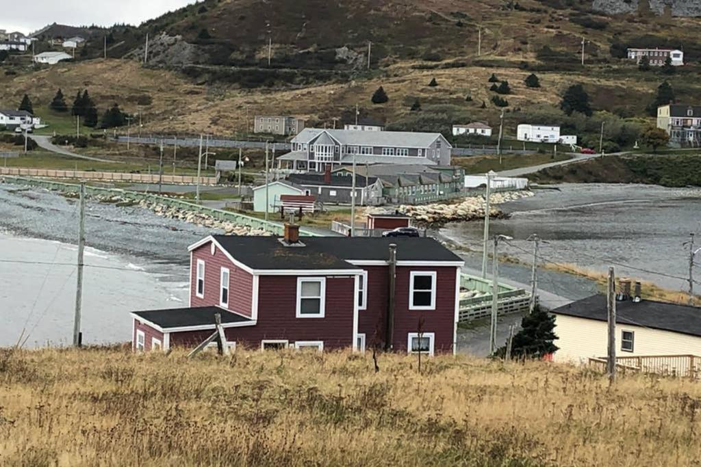 Private Gem In Ferryland Stunning View!