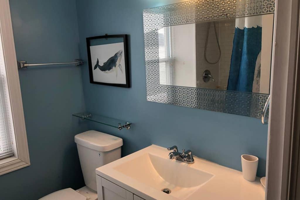 Private Gem In Ferryland Stunning View!