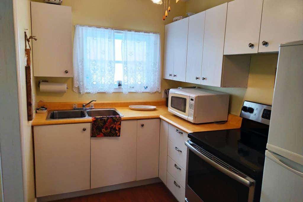 Private Gem In Ferryland Stunning View!