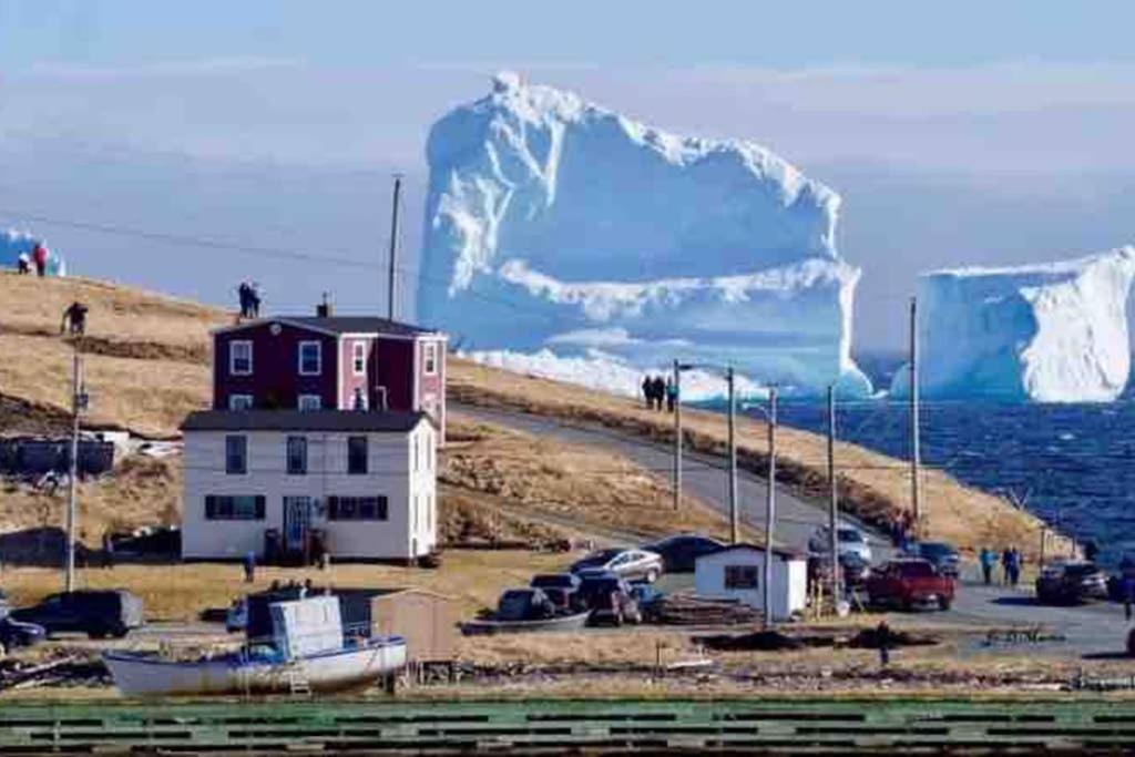 Private Gem In Ferryland Stunning View!