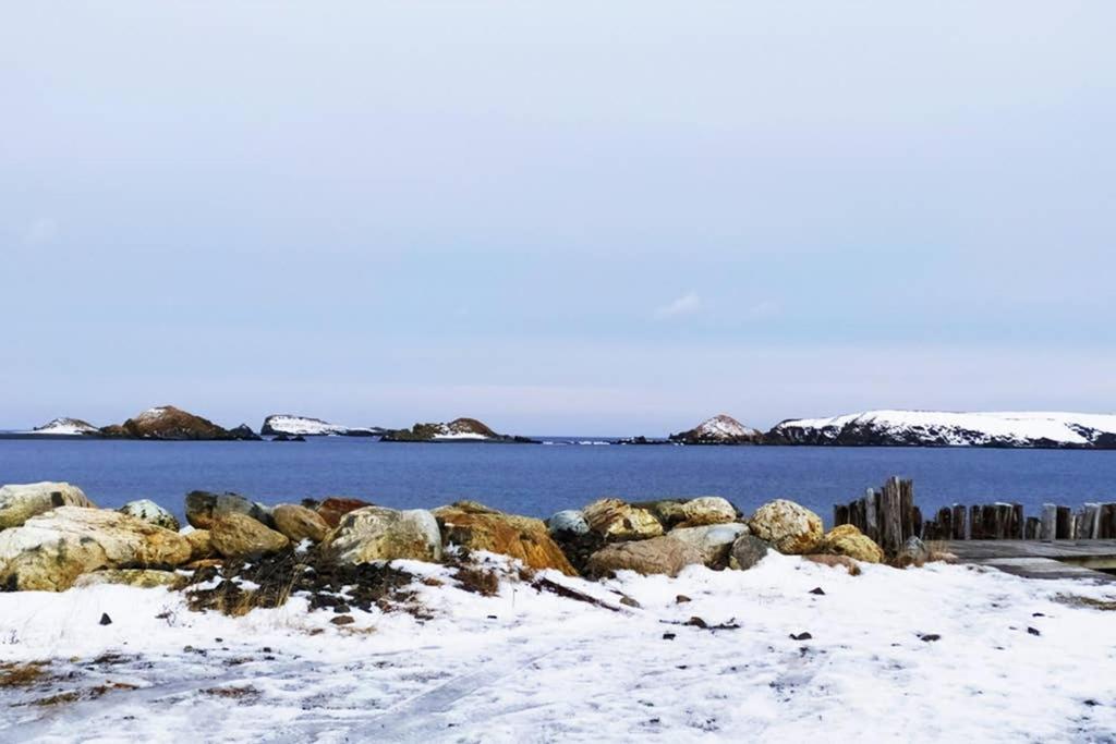 Private Gem In Ferryland Stunning View!