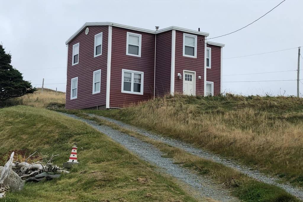 Private Gem In Ferryland Stunning View!
