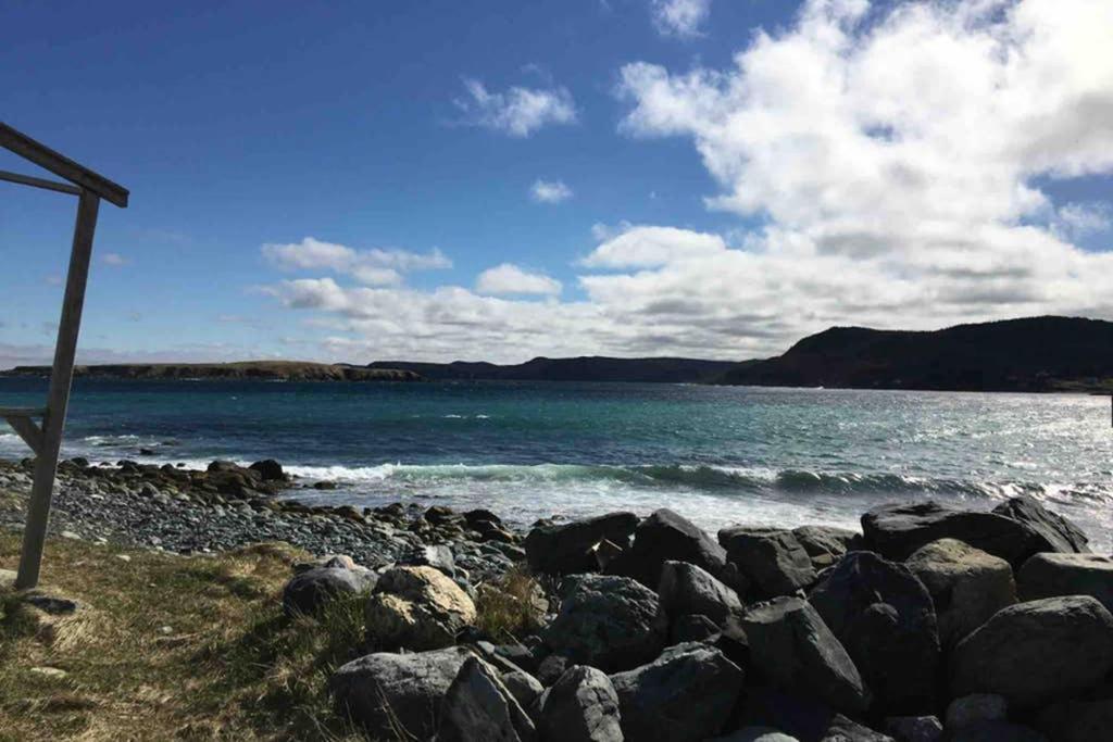Private Gem In Ferryland Stunning View!