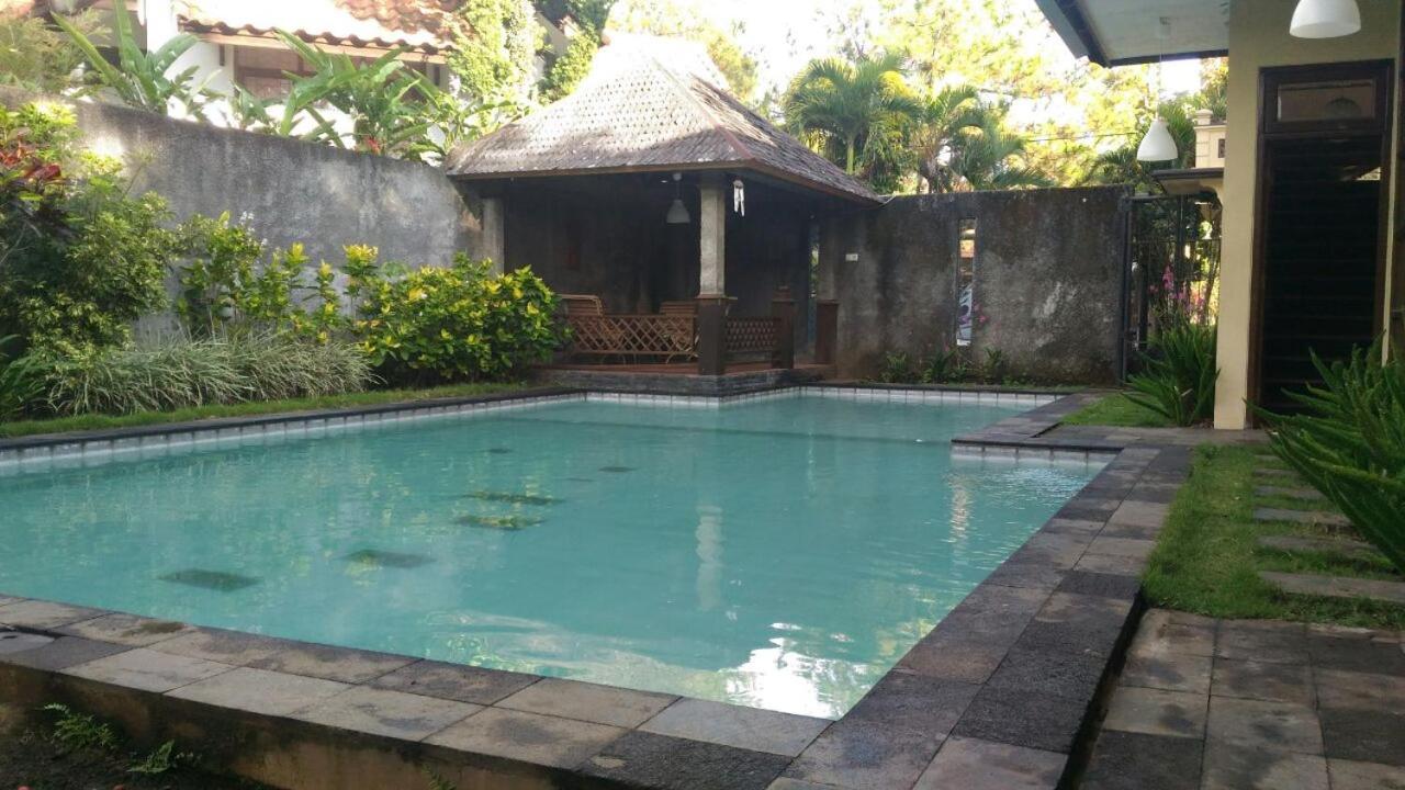 Villa batu malang swimming pool