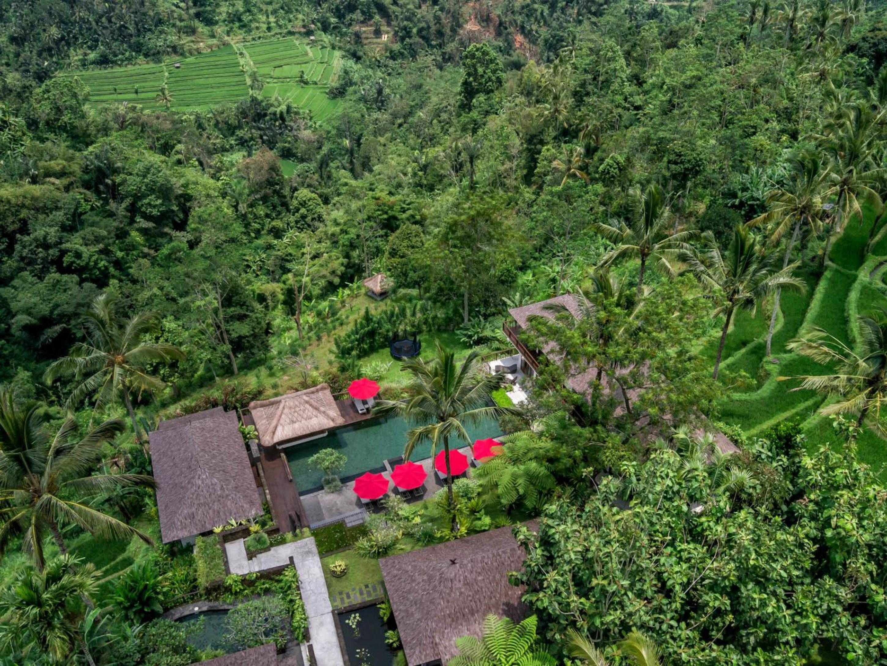 Awan Putih Resort Ubud view 2