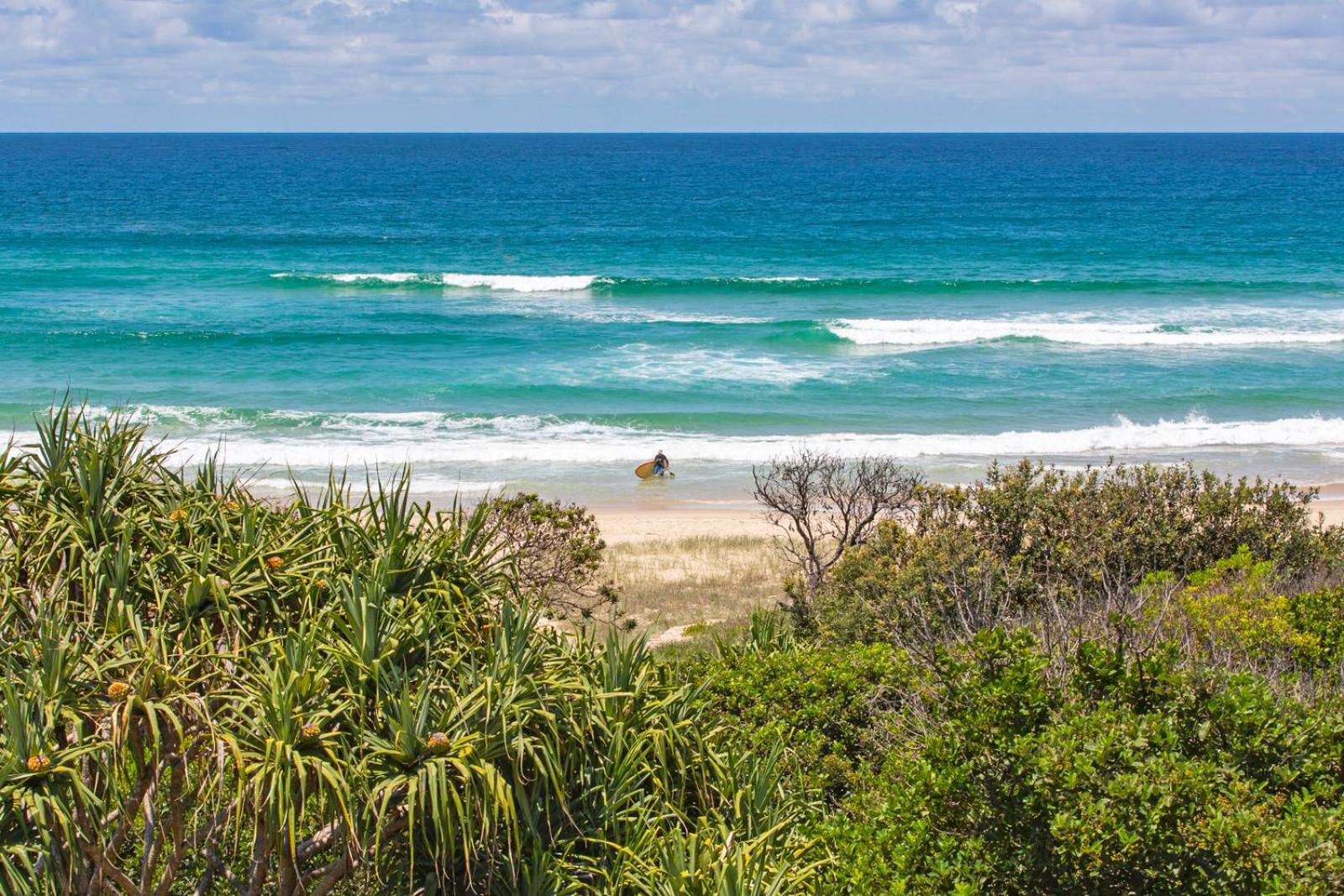 Sandpiper Beachfront House - Hastings Point
