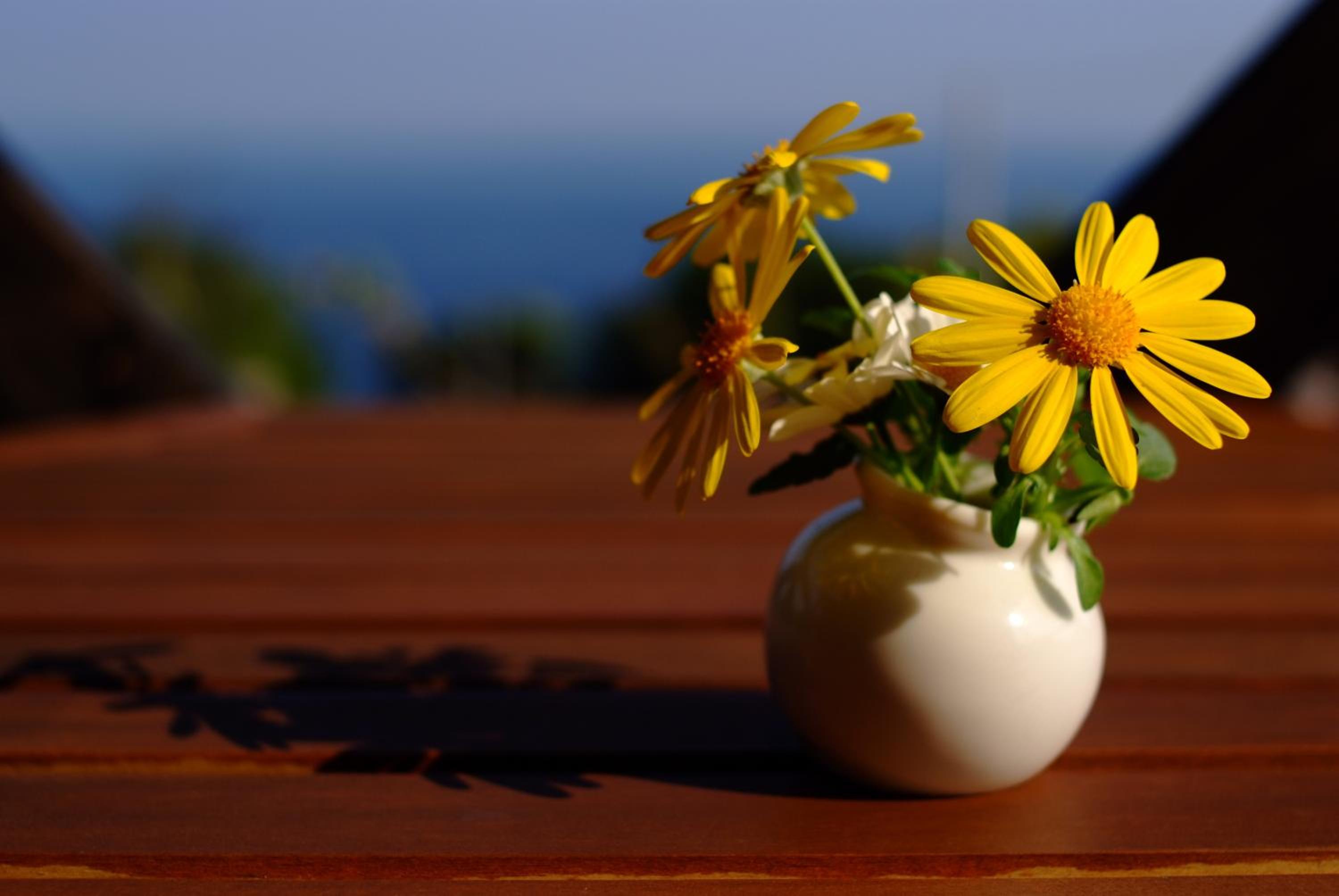 森のフェアリー Cottage Morino Fairy All cotage with open-air bath with sea view or river view