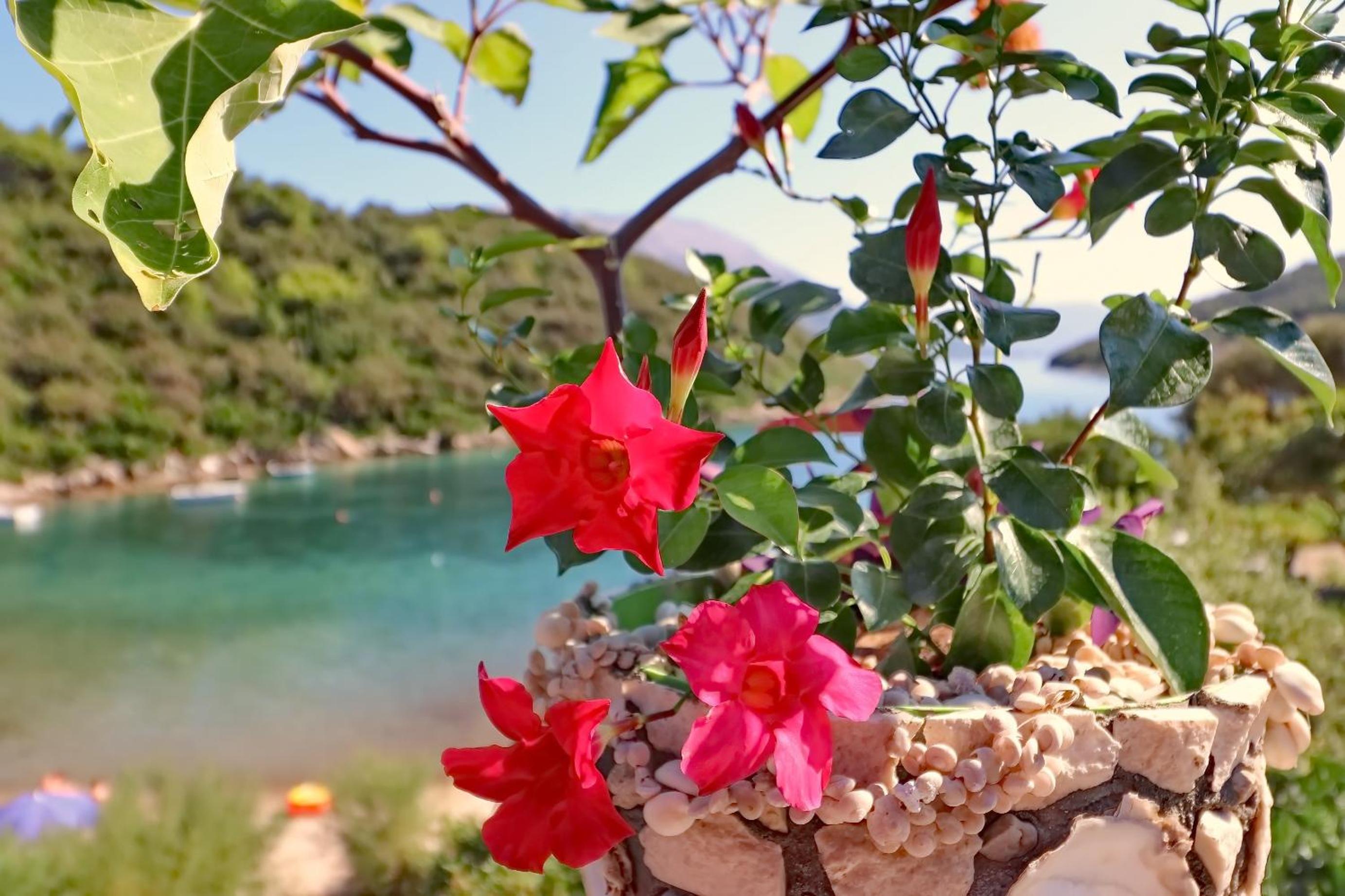 Apartments Villa Cebalo-Korčula