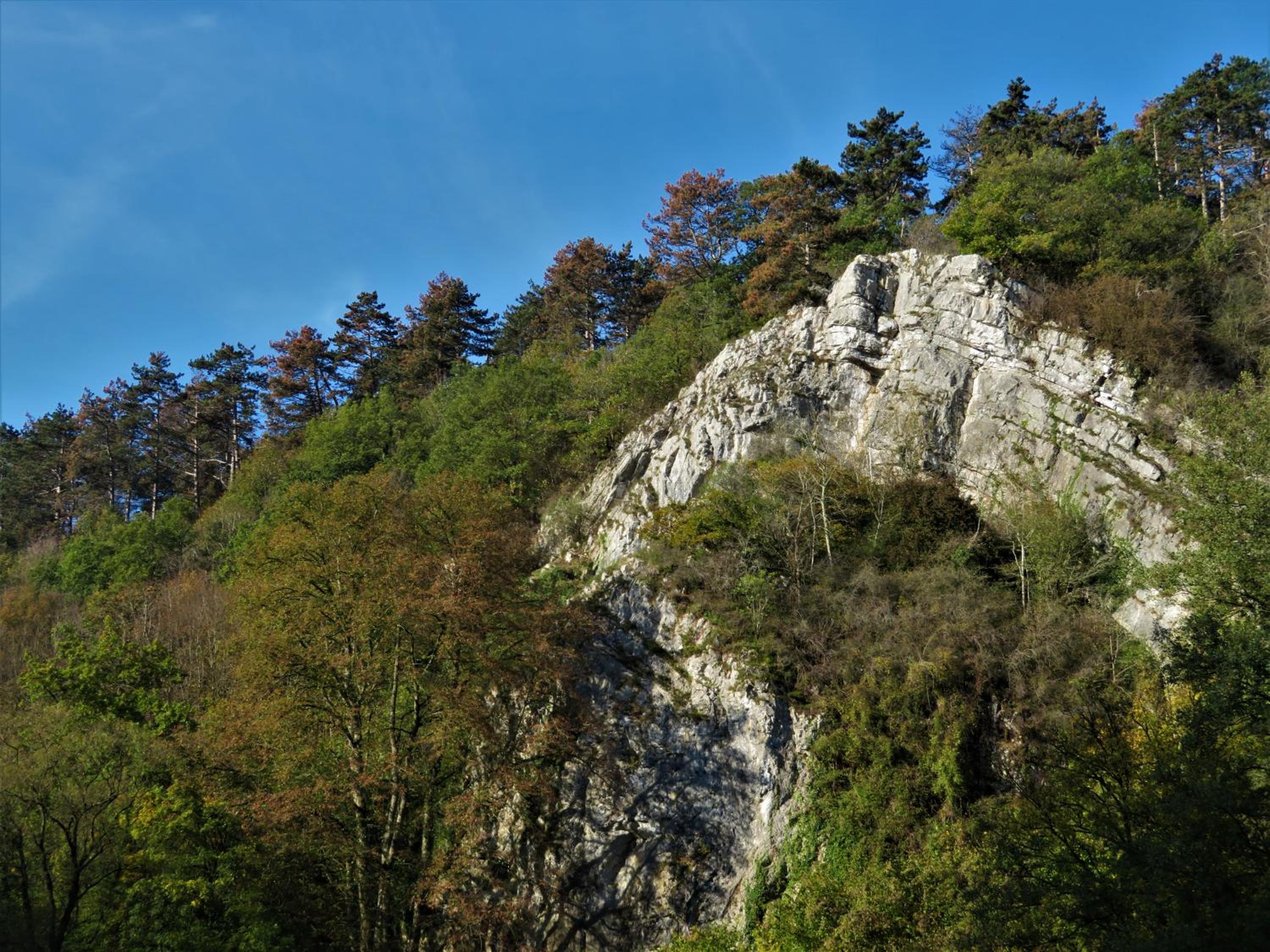 Maison d'Engon charme nature