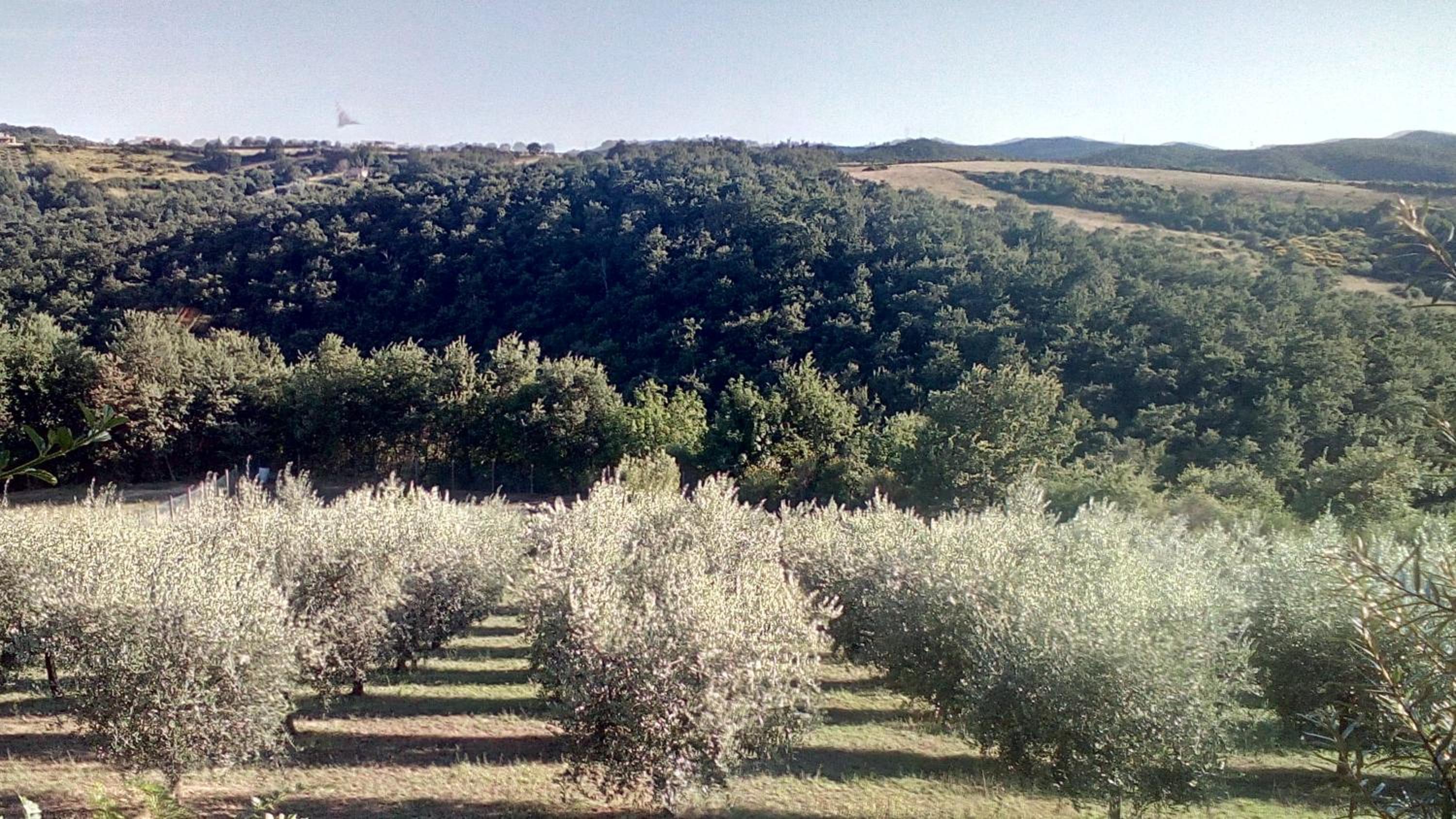 Paradiso view 5