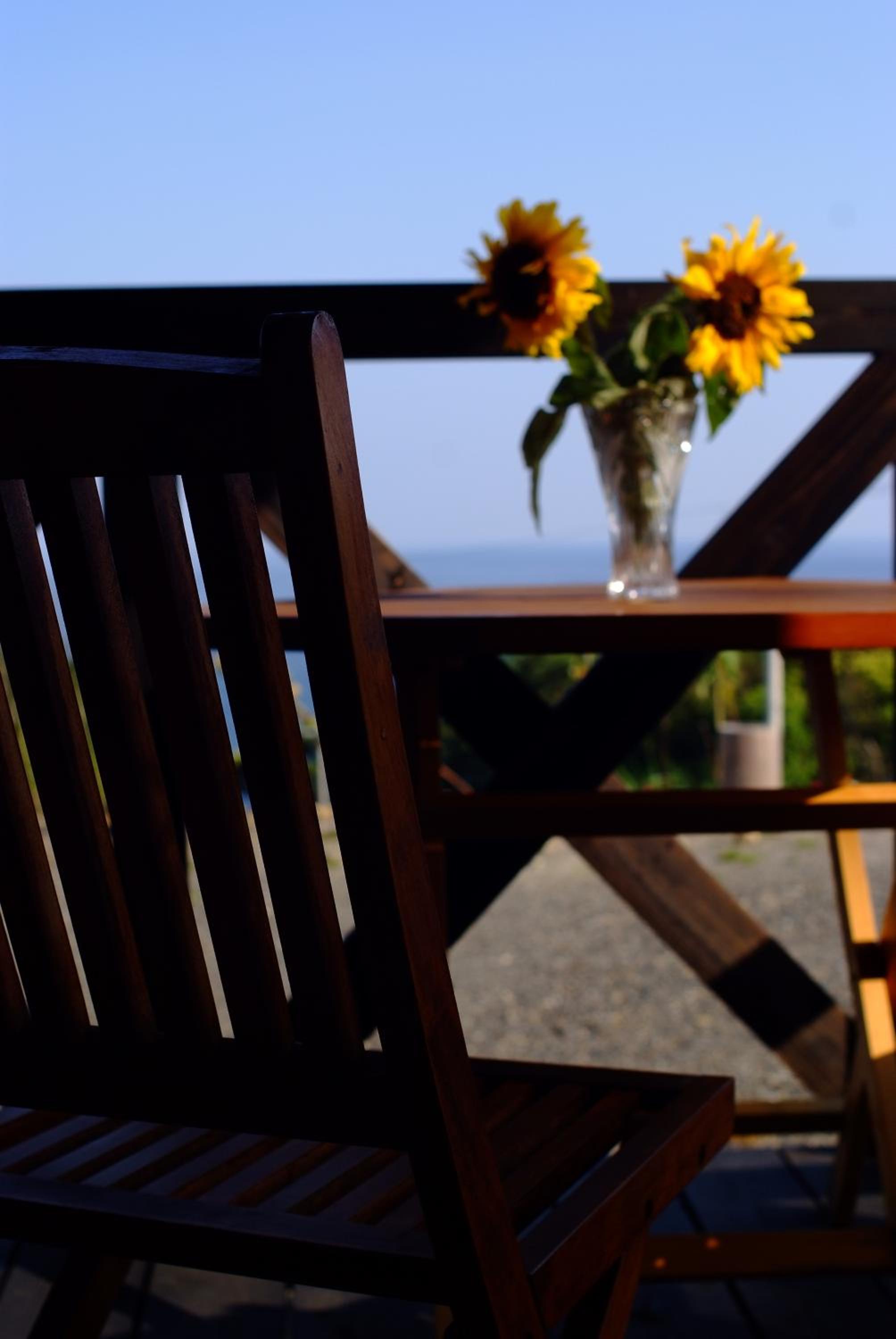 森のフェアリー Cottage Morino Fairy All cotage with open-air bath with sea view or river view