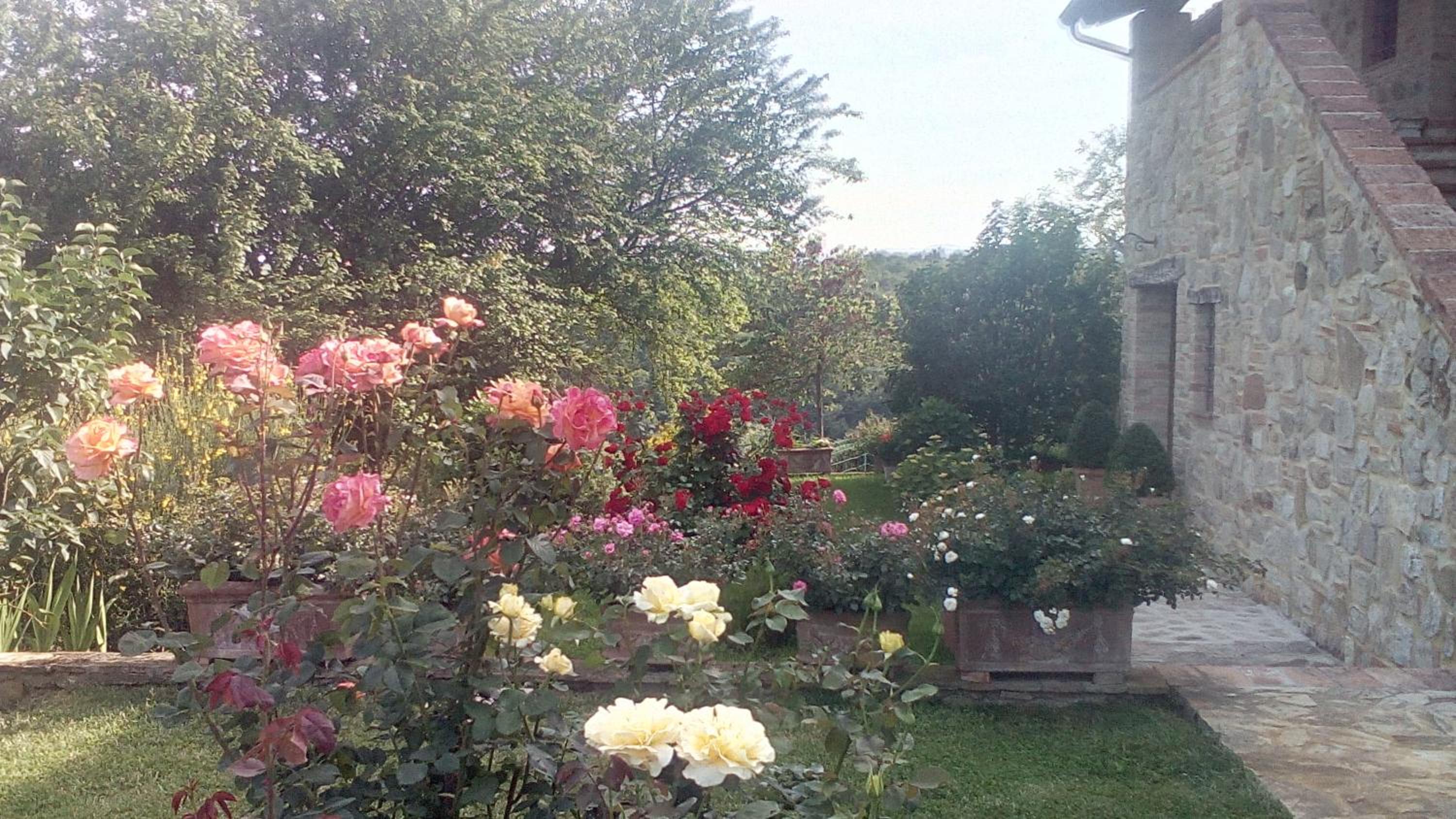 Photo 50