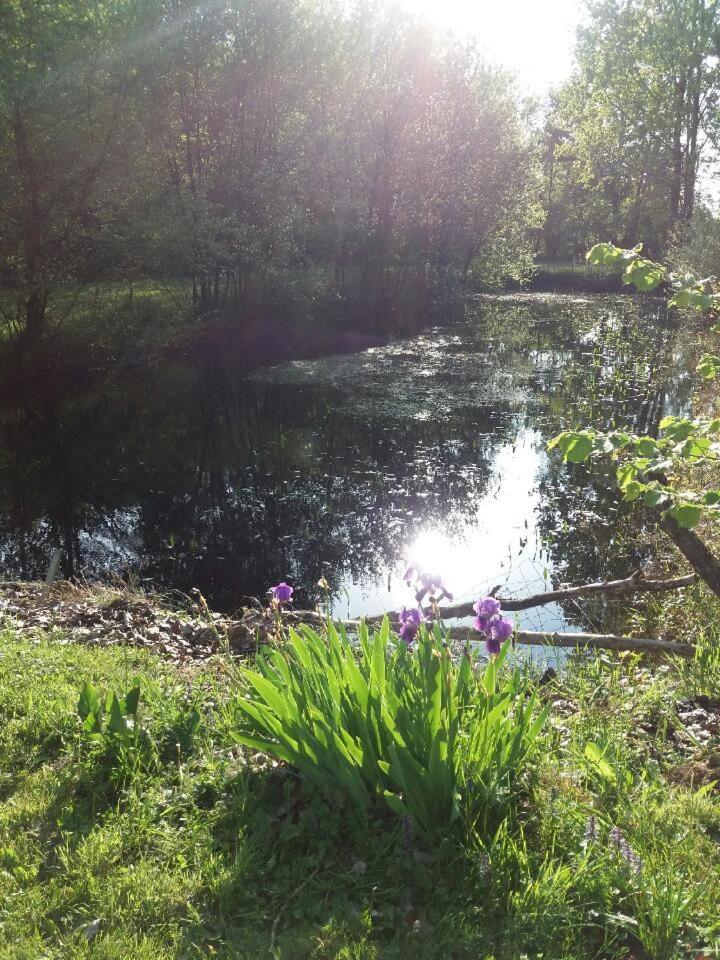 Photo 8