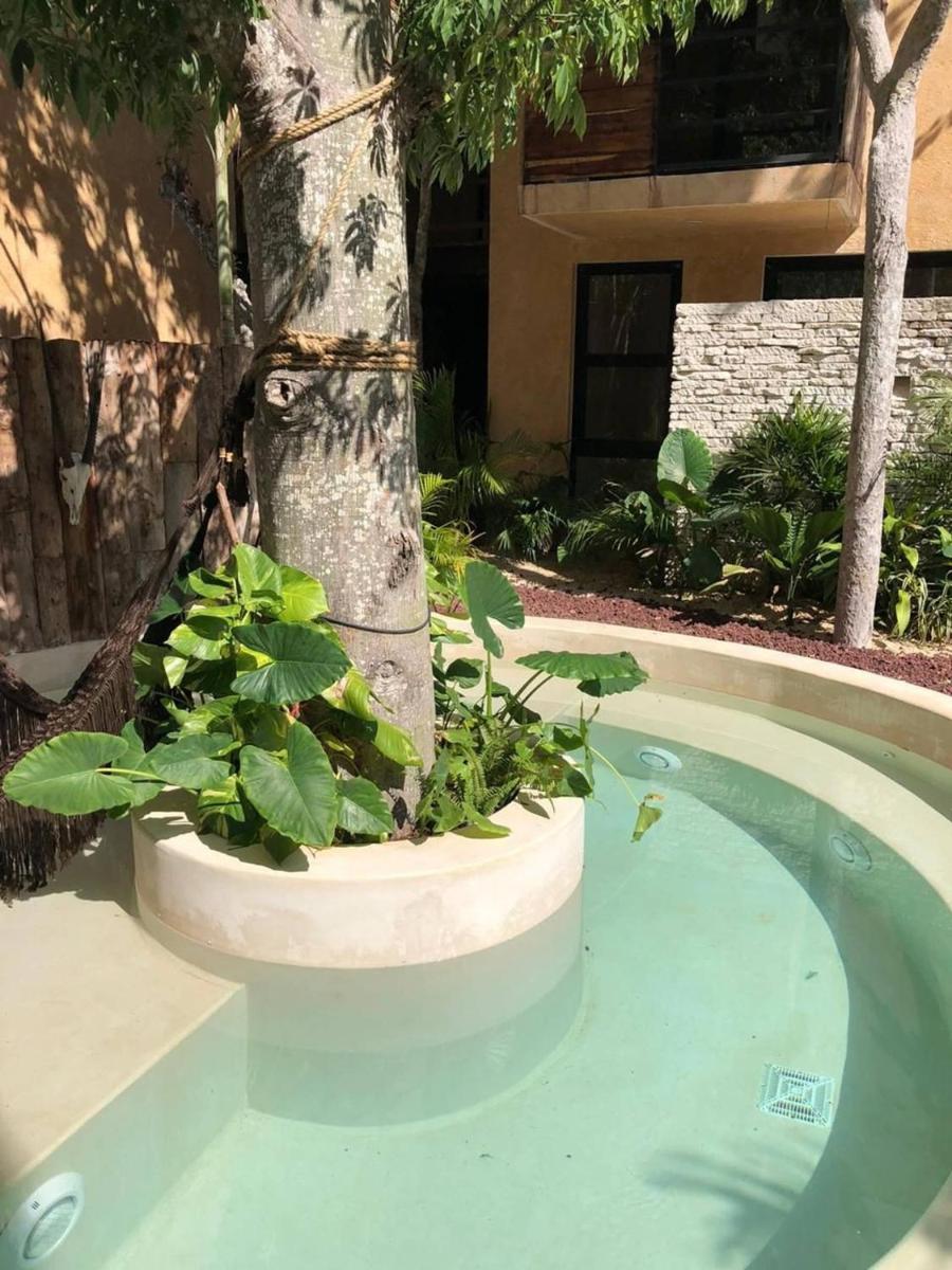Photo 19