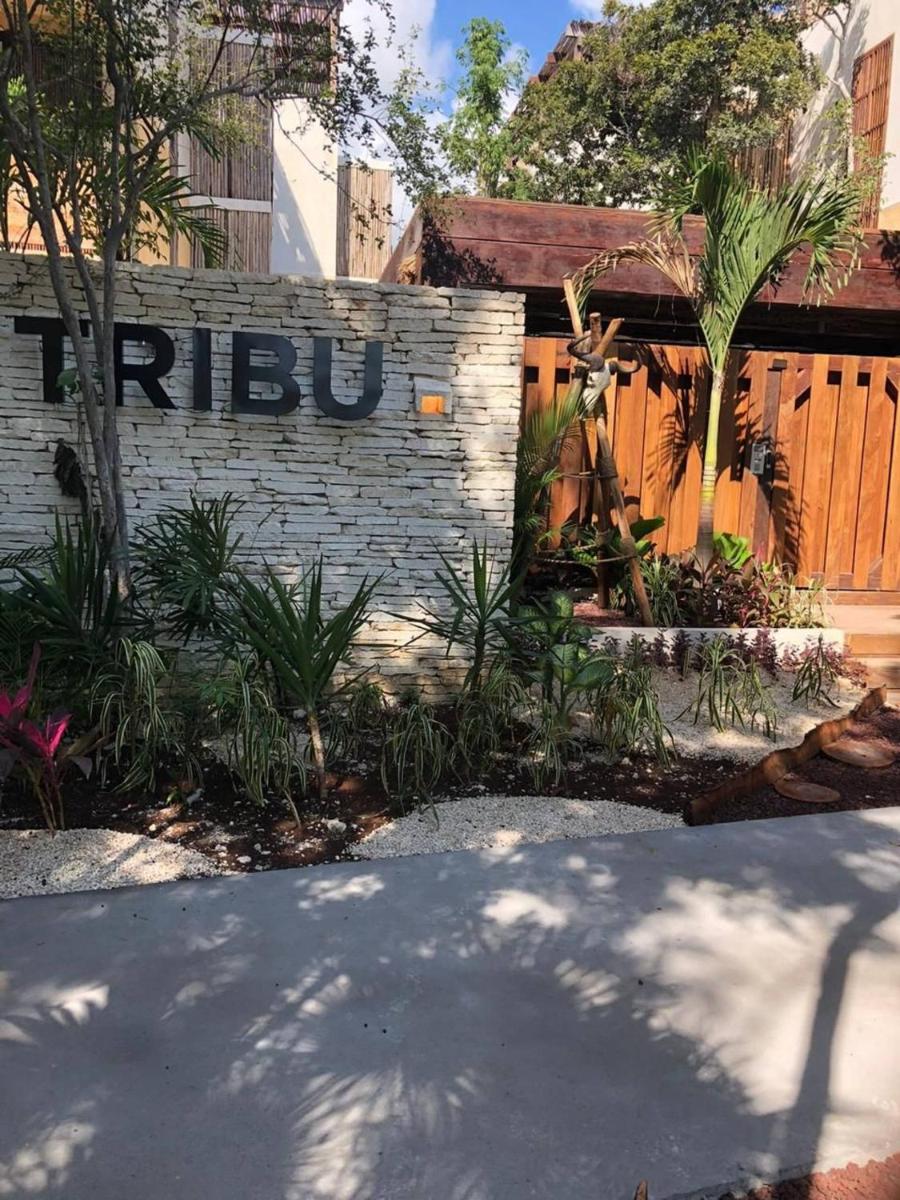 Cozy 1 Bedroom Up To 4 People At Aldea Zama view 4