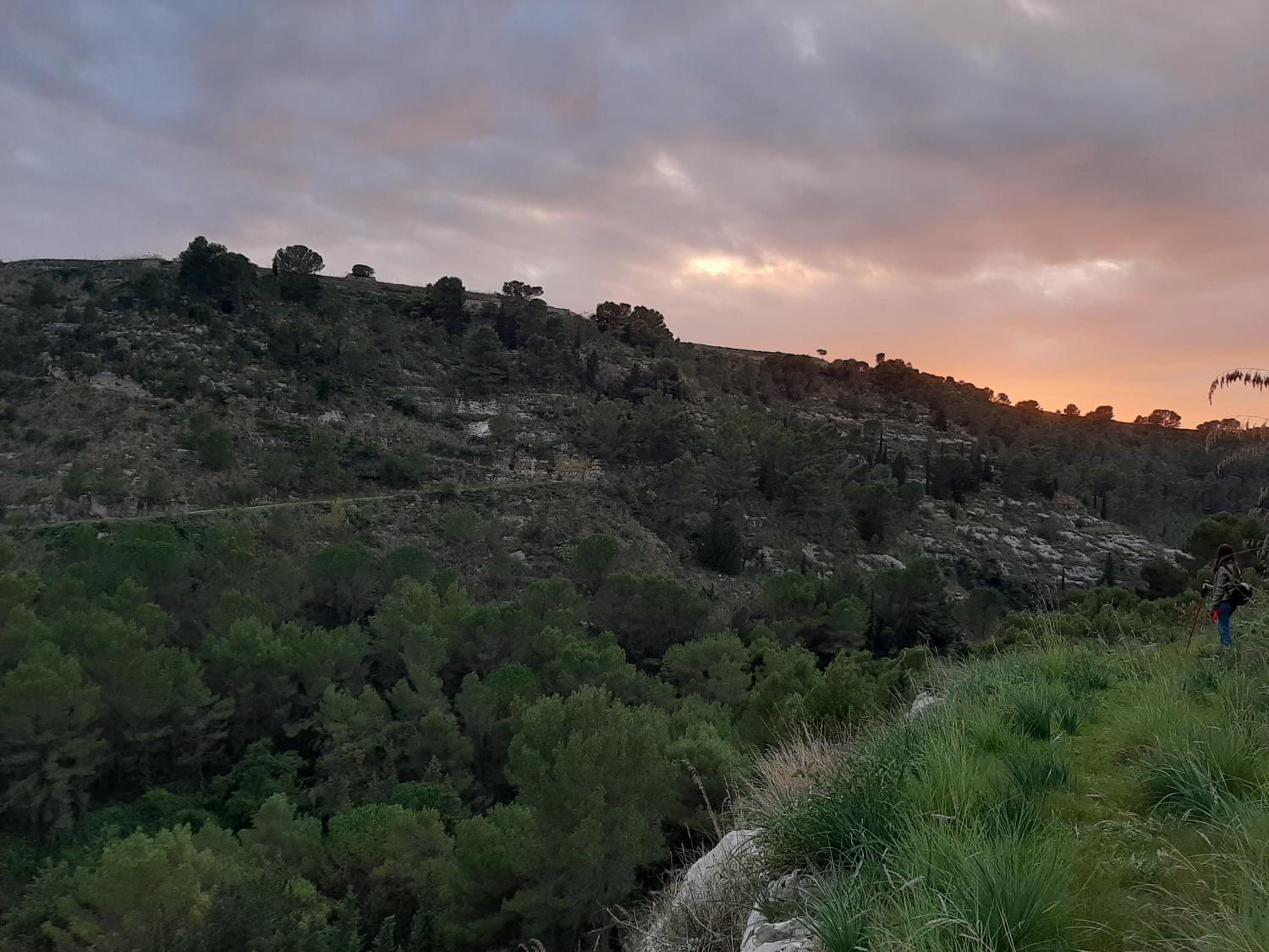 Pura Vida Barocca
