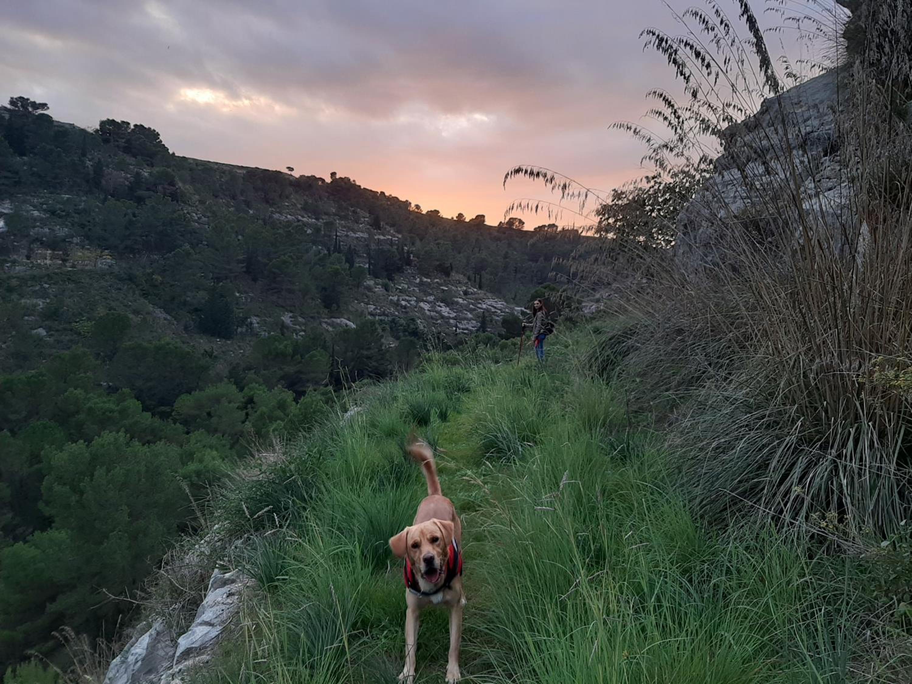 Pura Vida Barocca
