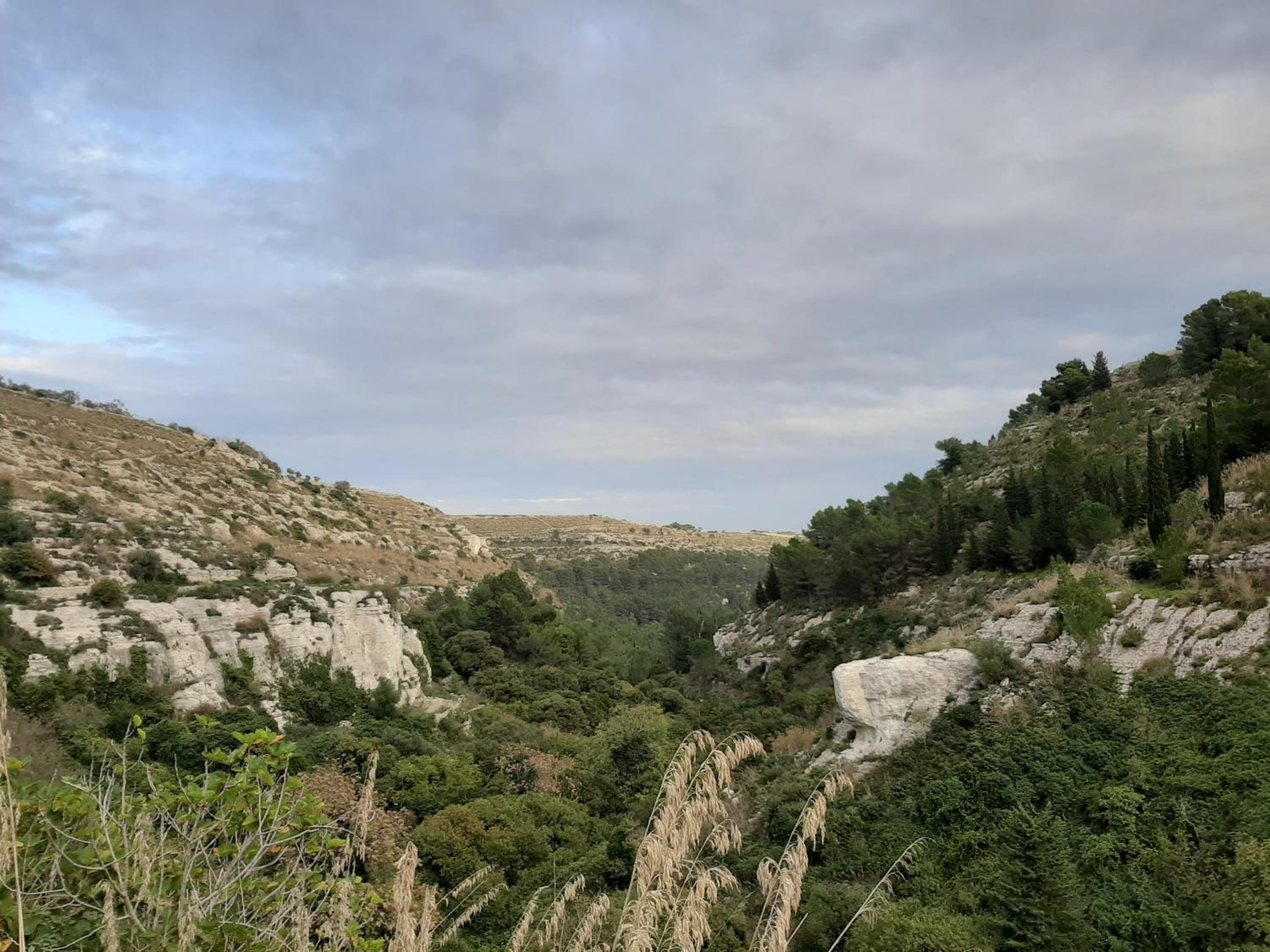 Pura Vida Barocca