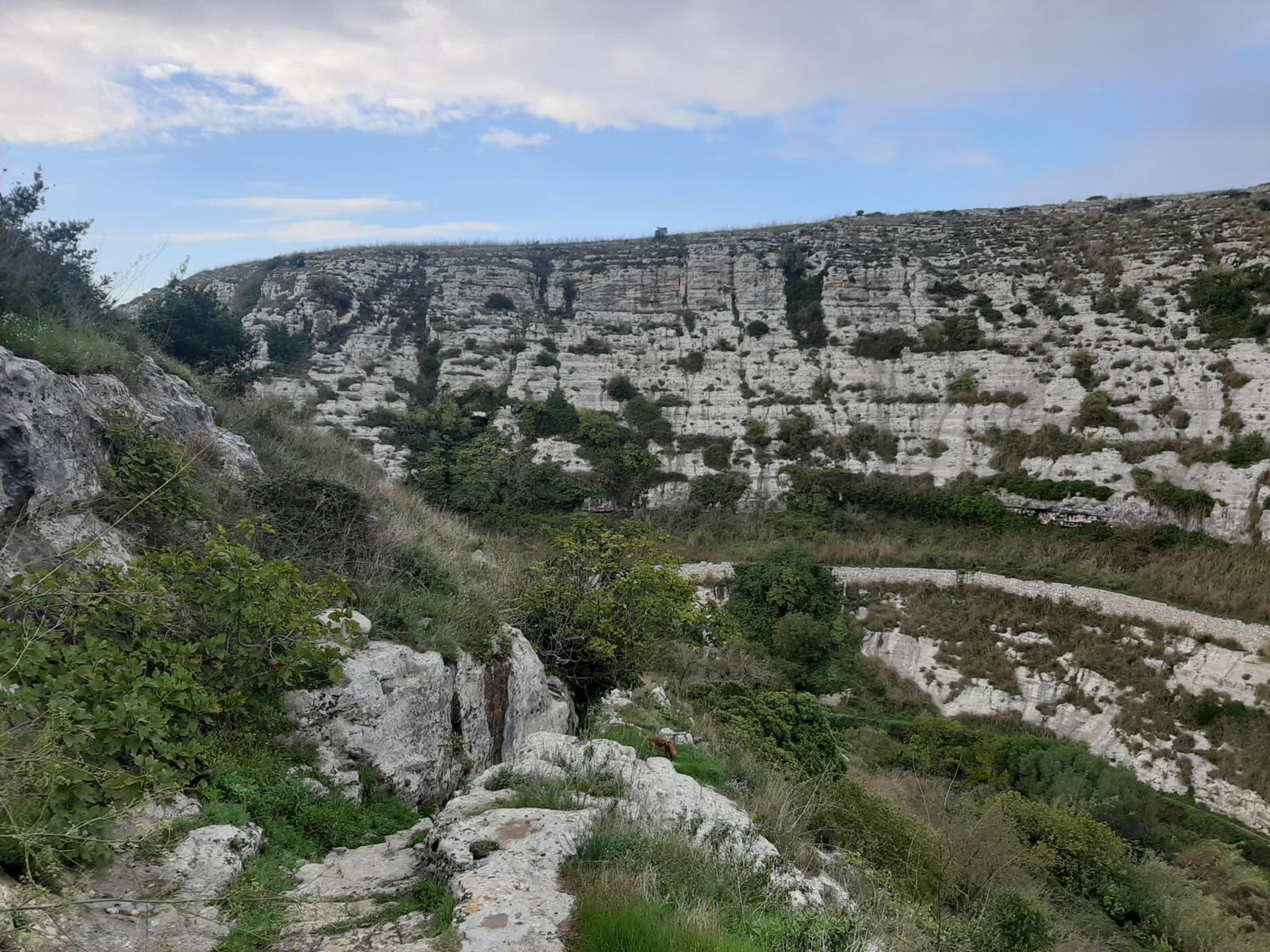 Pura Vida Barocca