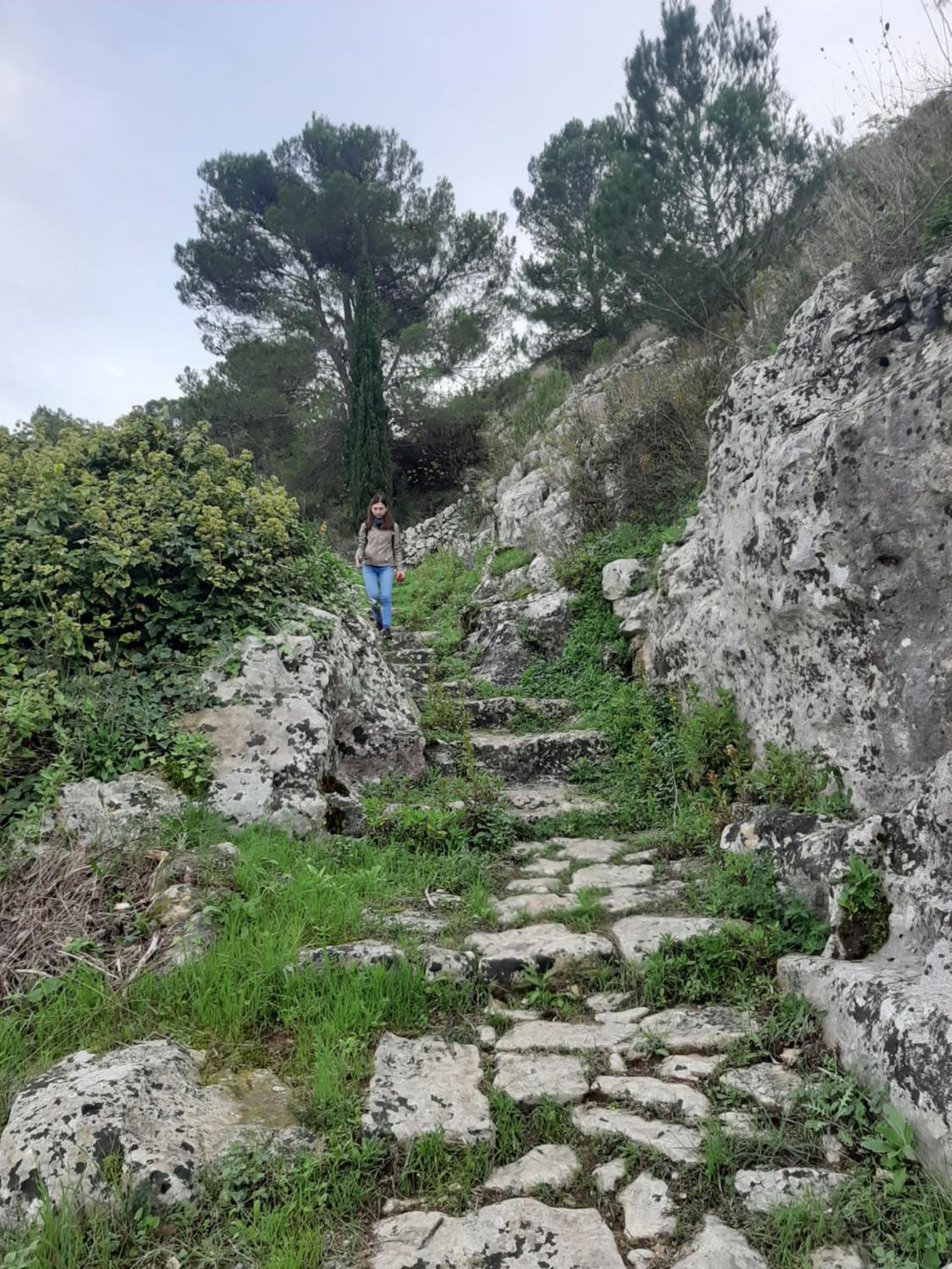 Pura Vida Barocca