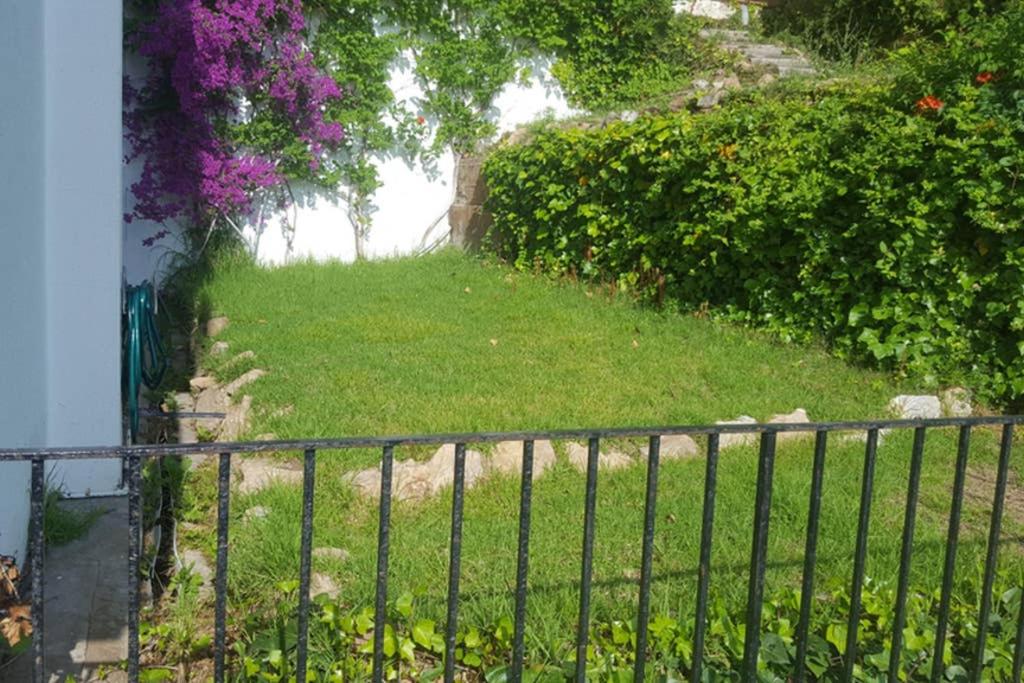 Photo 7