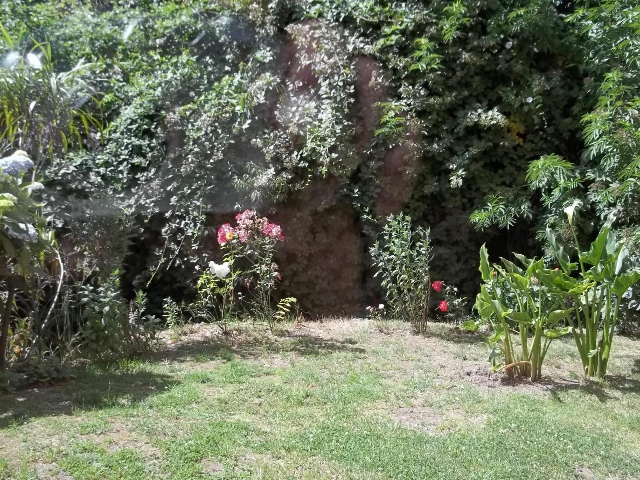 Omi Kika B&B