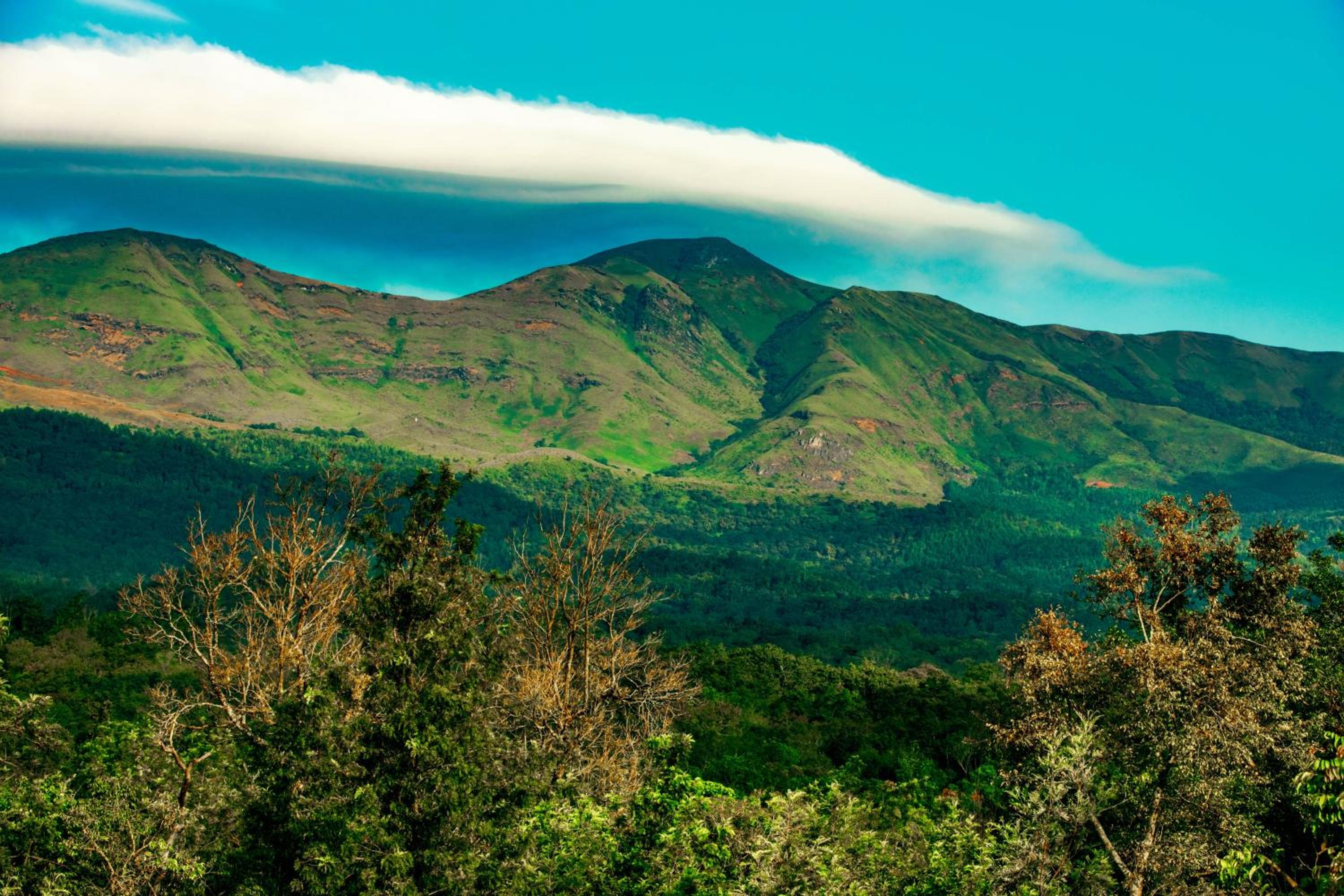 The Blossom Resort - Chikmagalur view 4