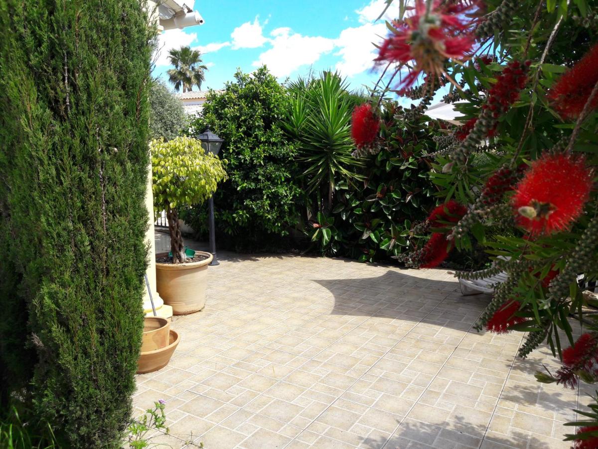 Photo 16