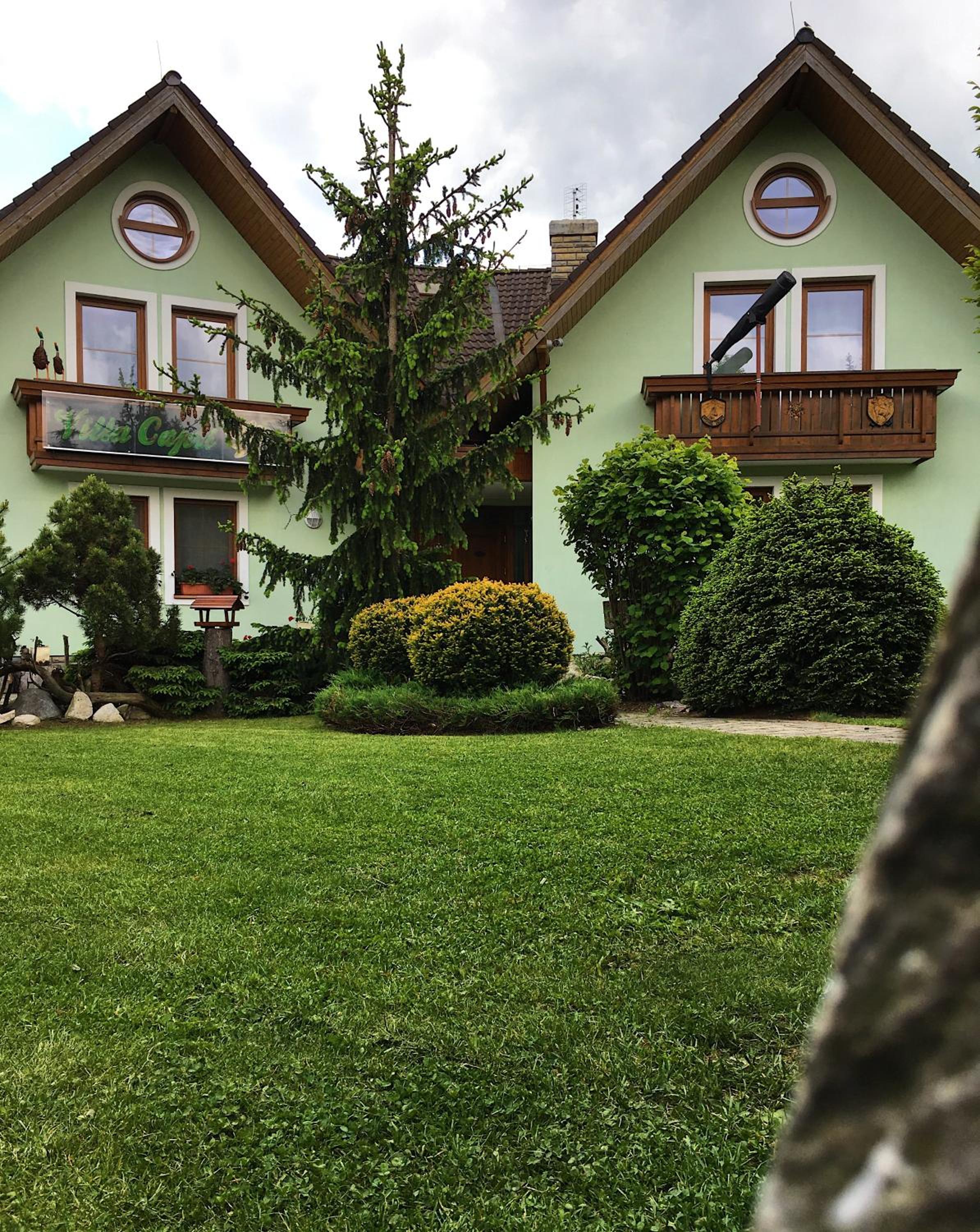 Photo 8