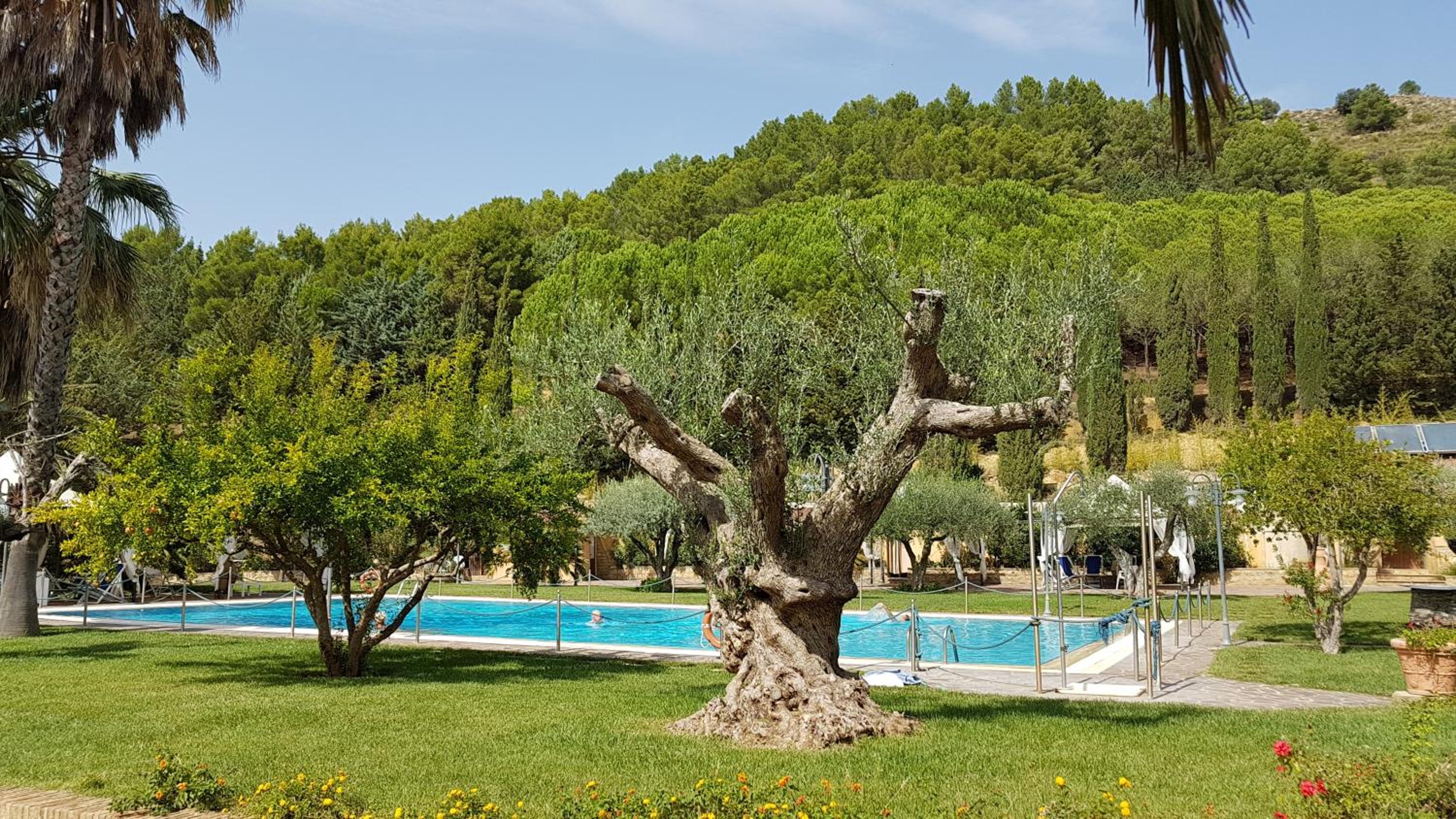 Agriturismo Il Drago
