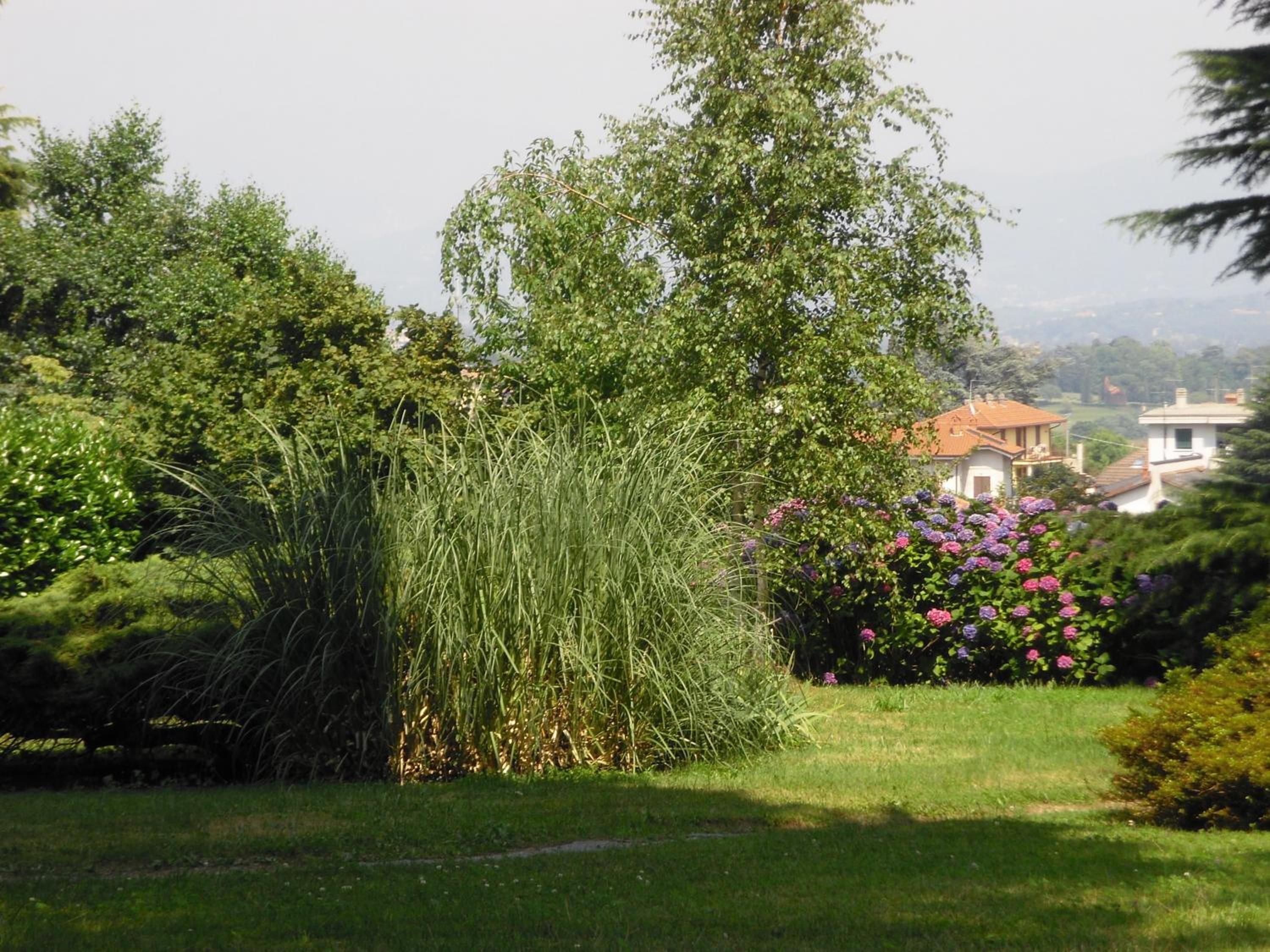 La Ca' Nova, photo 9